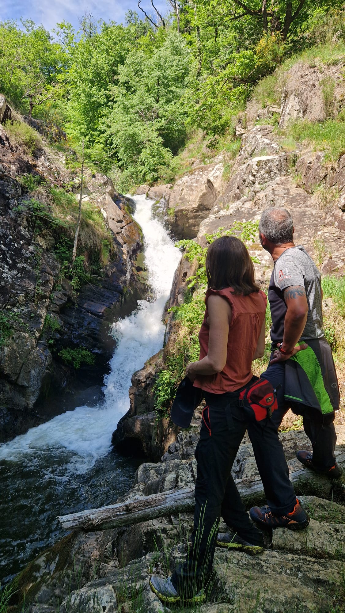 My Pause Nature, Montet-et-Bouxal - photo 7