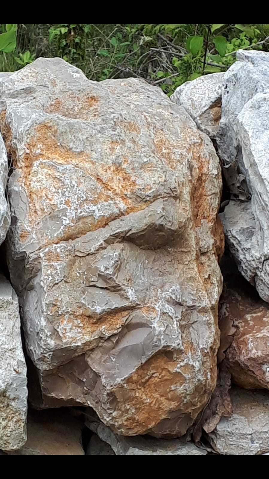 Exposition de Michèle Mailliard: "Murs-Murs"