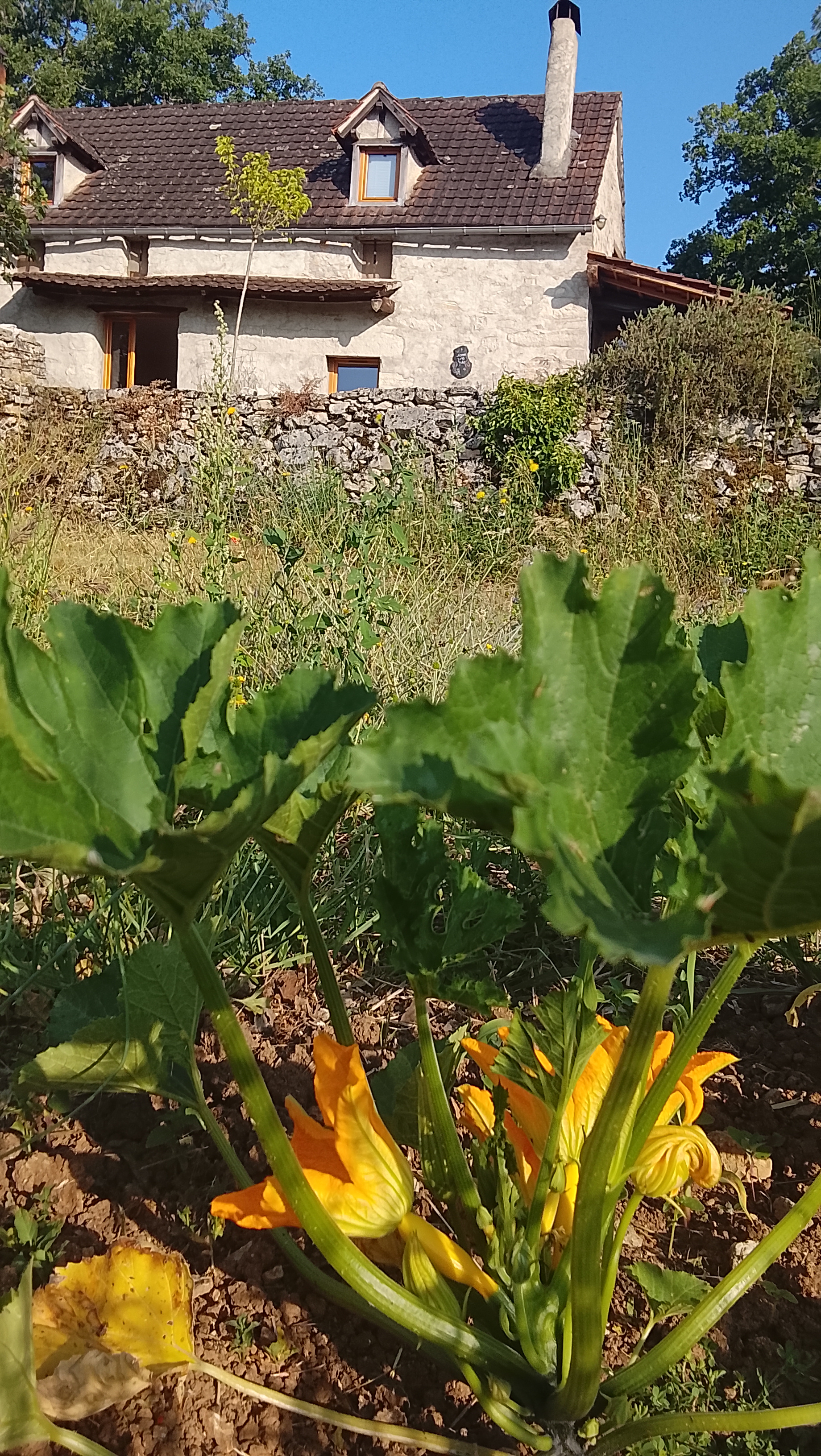 Marmite et Traversin, Cénevières - photo 8