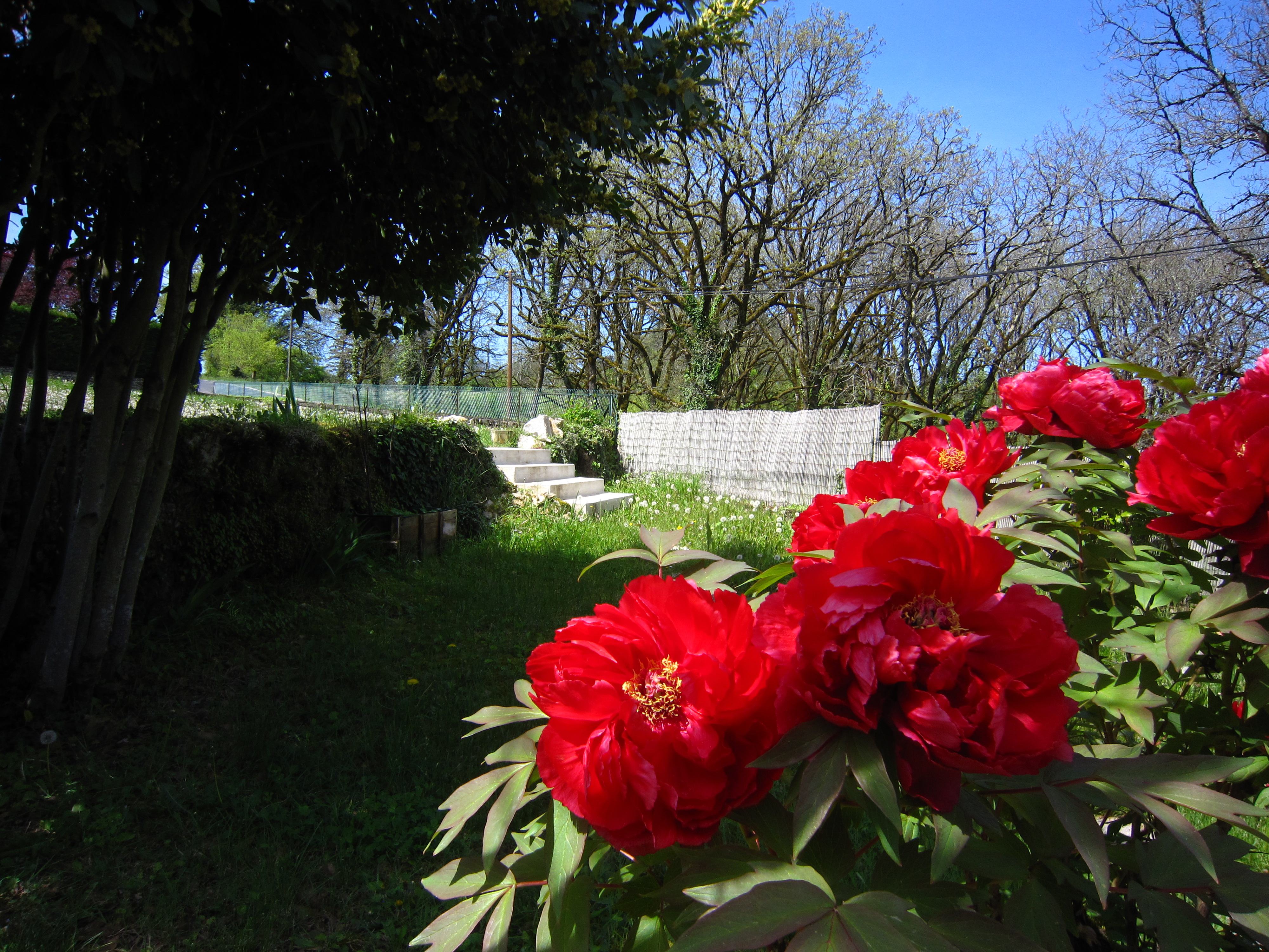 La Maison sous les noyers, Cressensac-Sarrazac - photo 4
