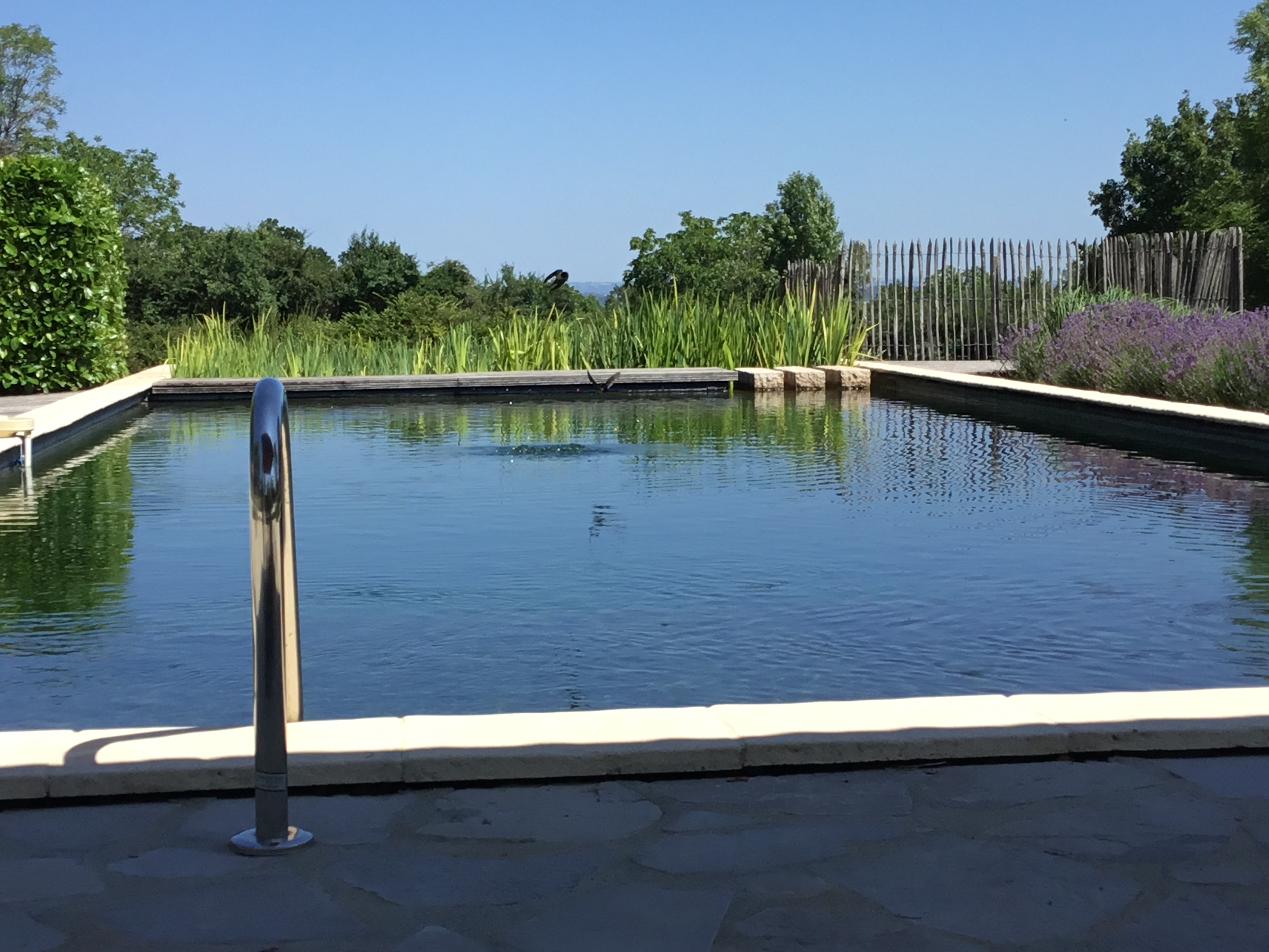 Les Lauriers, Issepts - photo 4