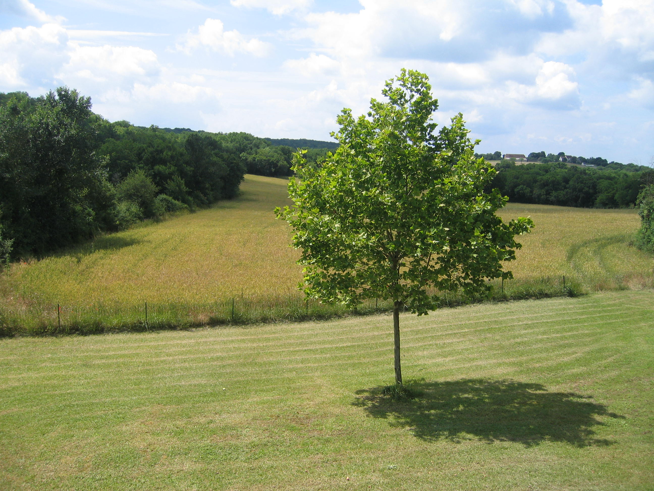 Gîte de DELSAHUT, Gramat - photo 13
