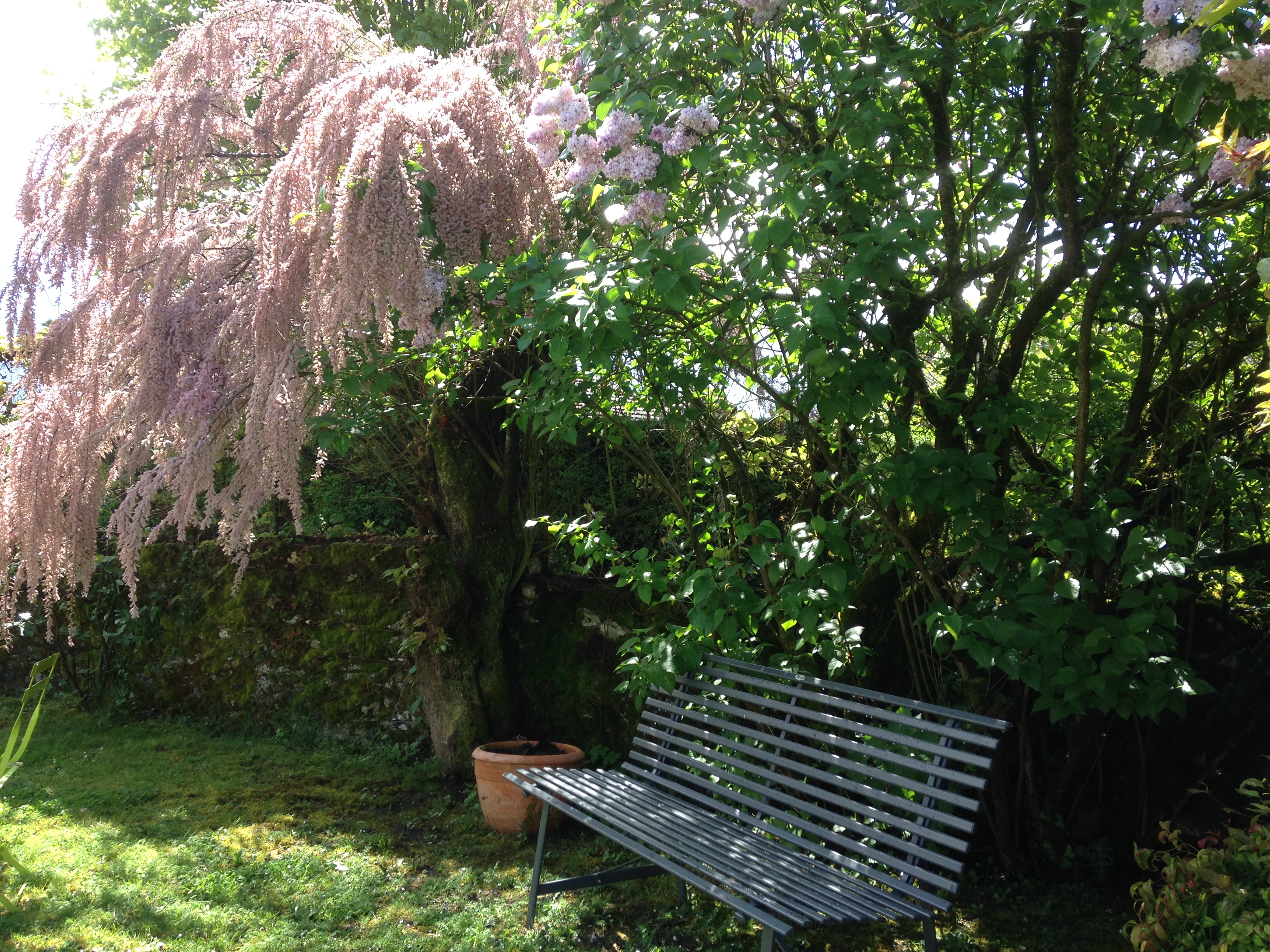 L'Estable, Labastide-Marnhac - photo 5