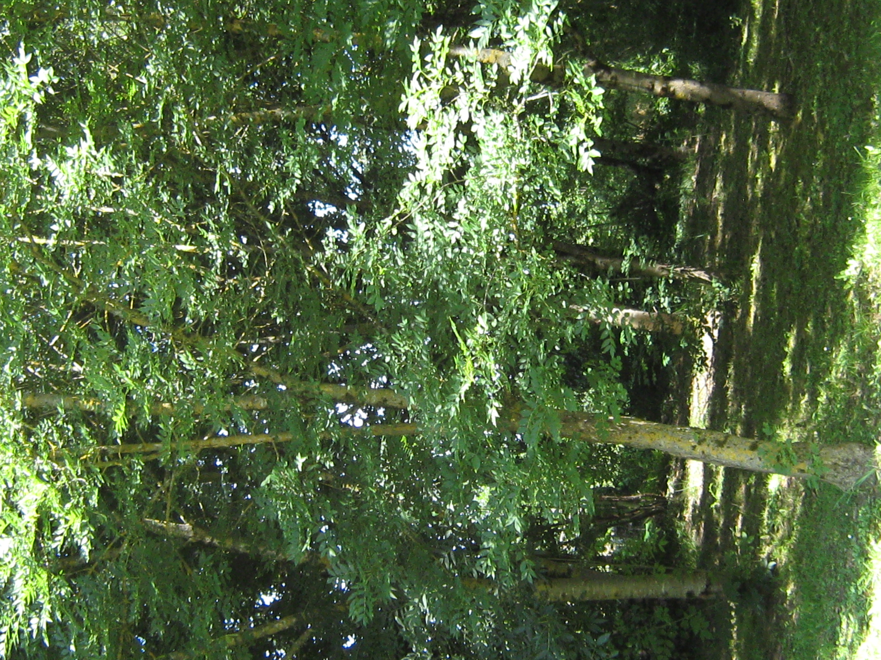 Le Petit Bois, Lavergne - photo 22