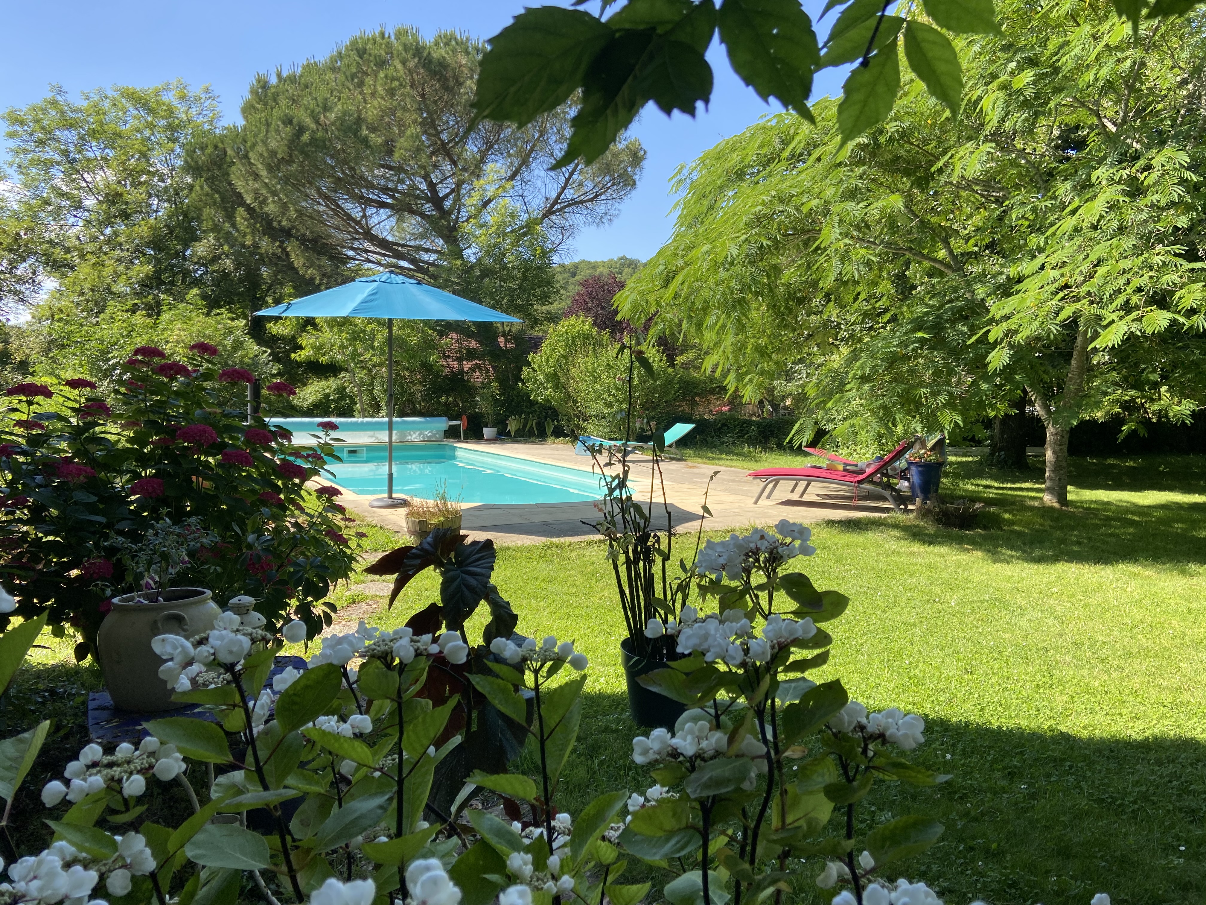 Gîte du Cèdre,  La Cave, Le Vignon-en-Quercy - photo 5