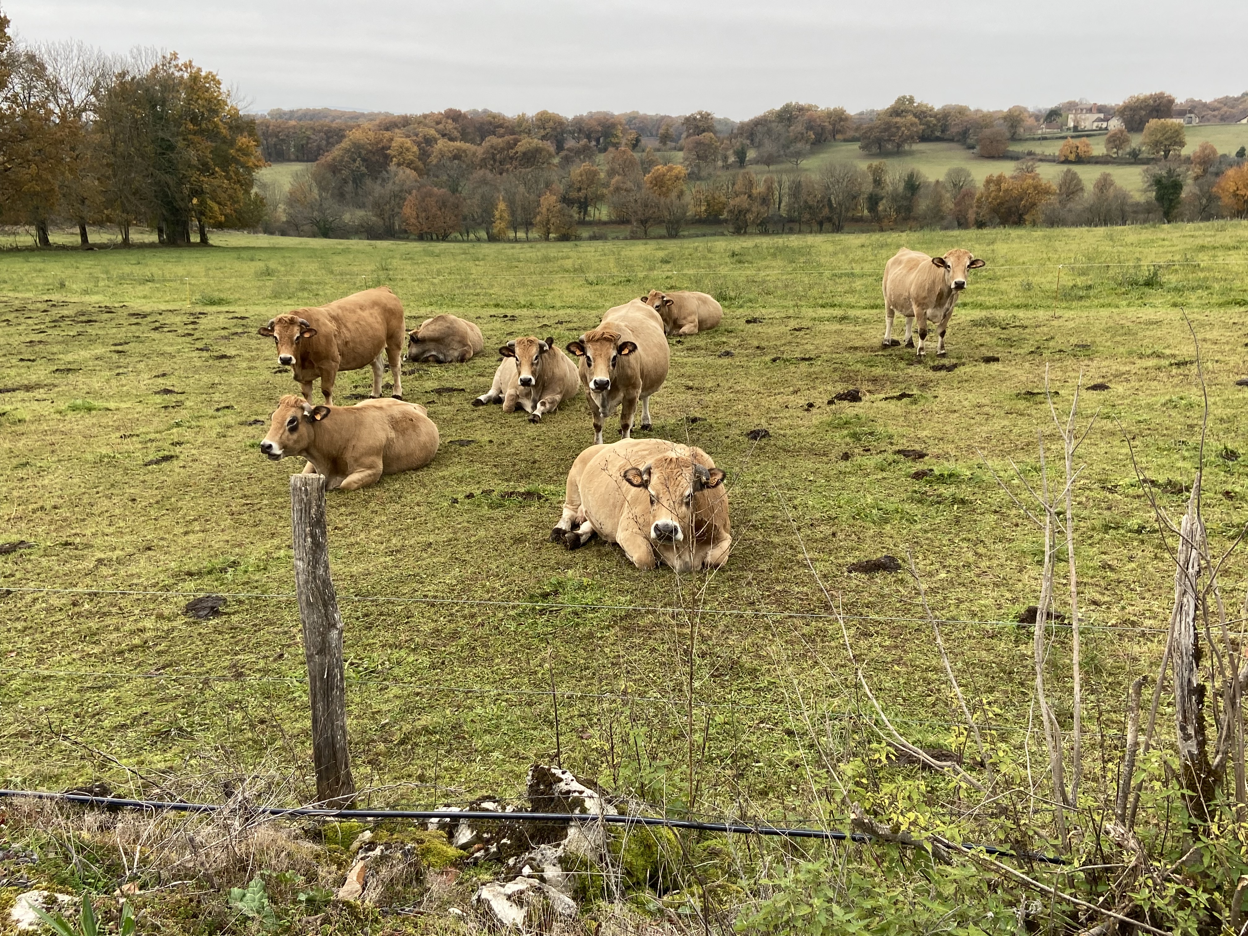 Les Gîtes de Tantou