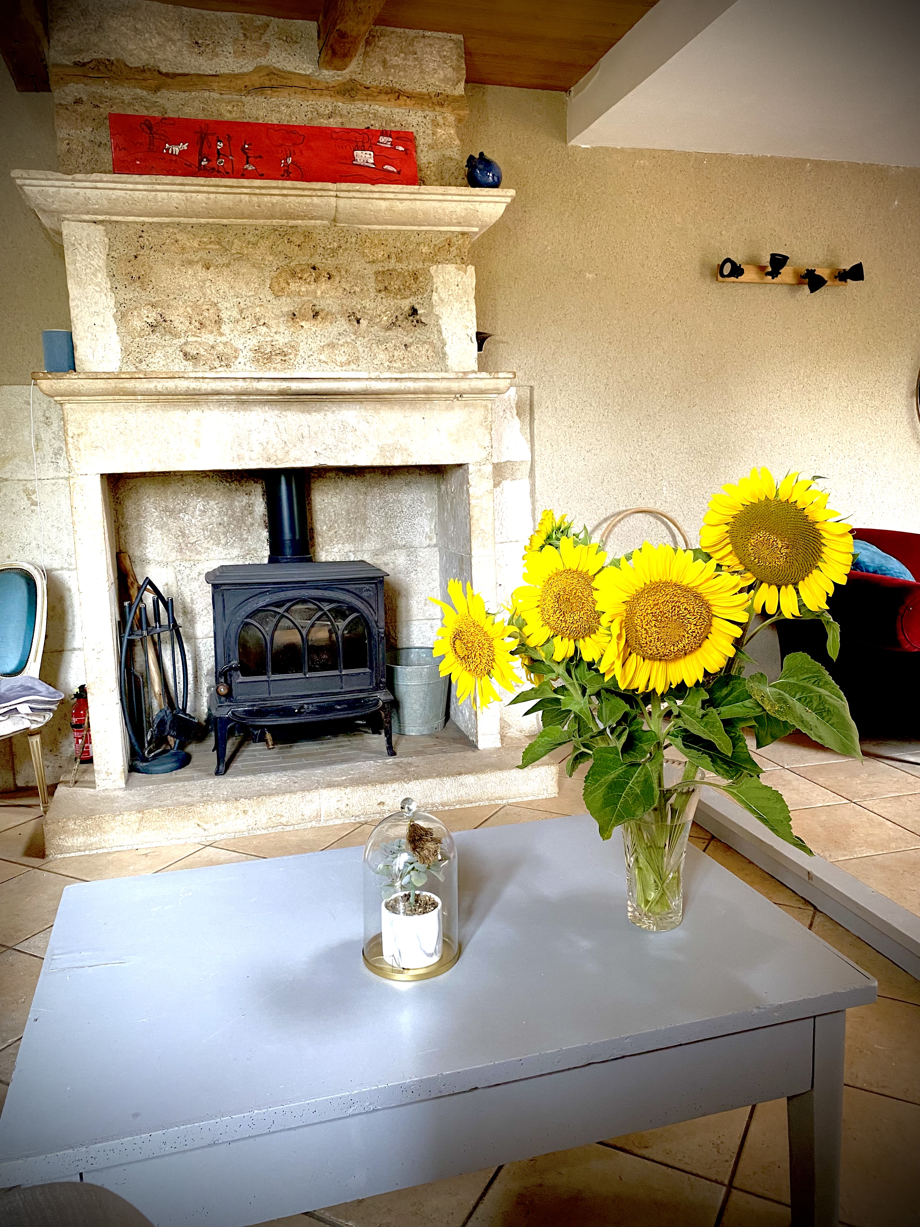 Gîte du Domaine des Pierres Blanches, Montcuq-en-Quercy-Blanc - photo 11