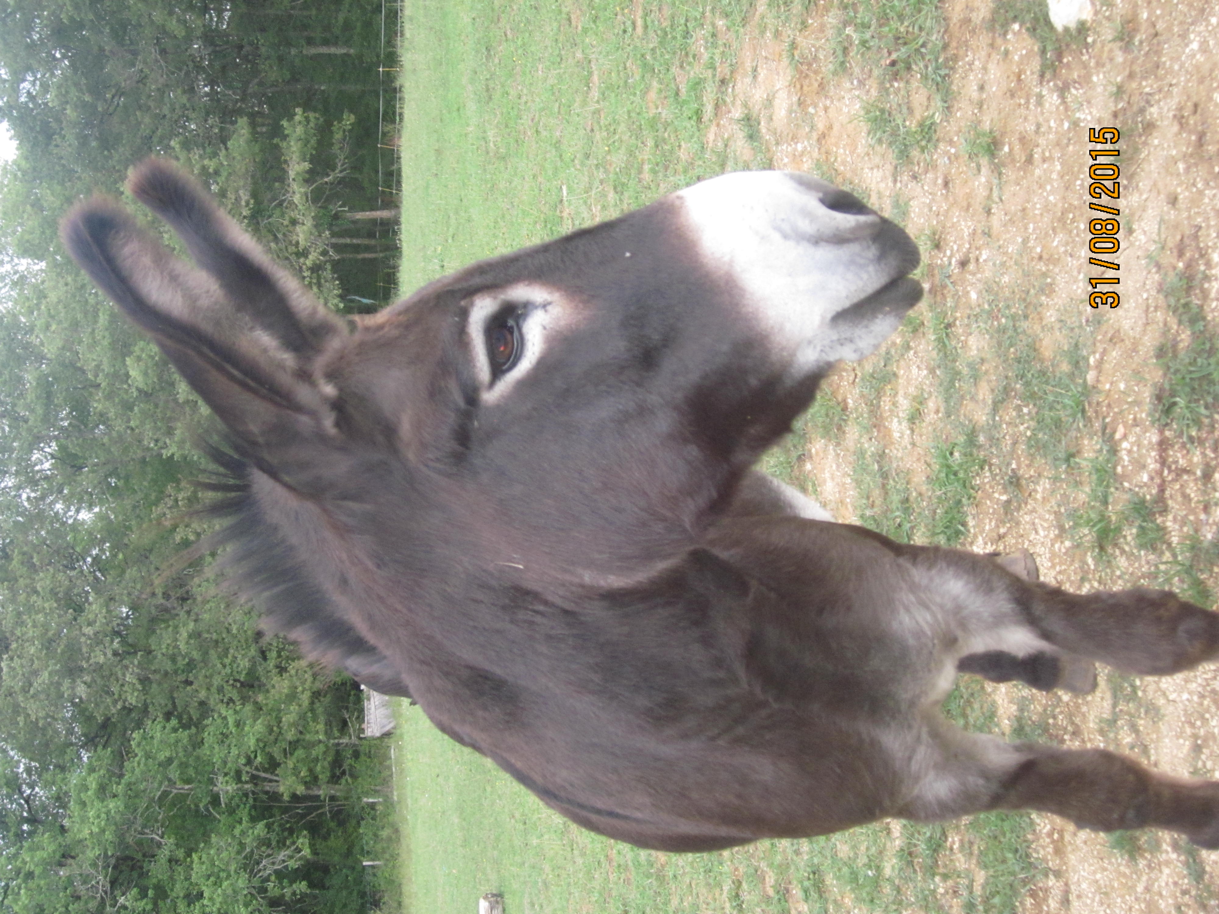 Gite des Plaines, Saint-Chamarand - photo 8