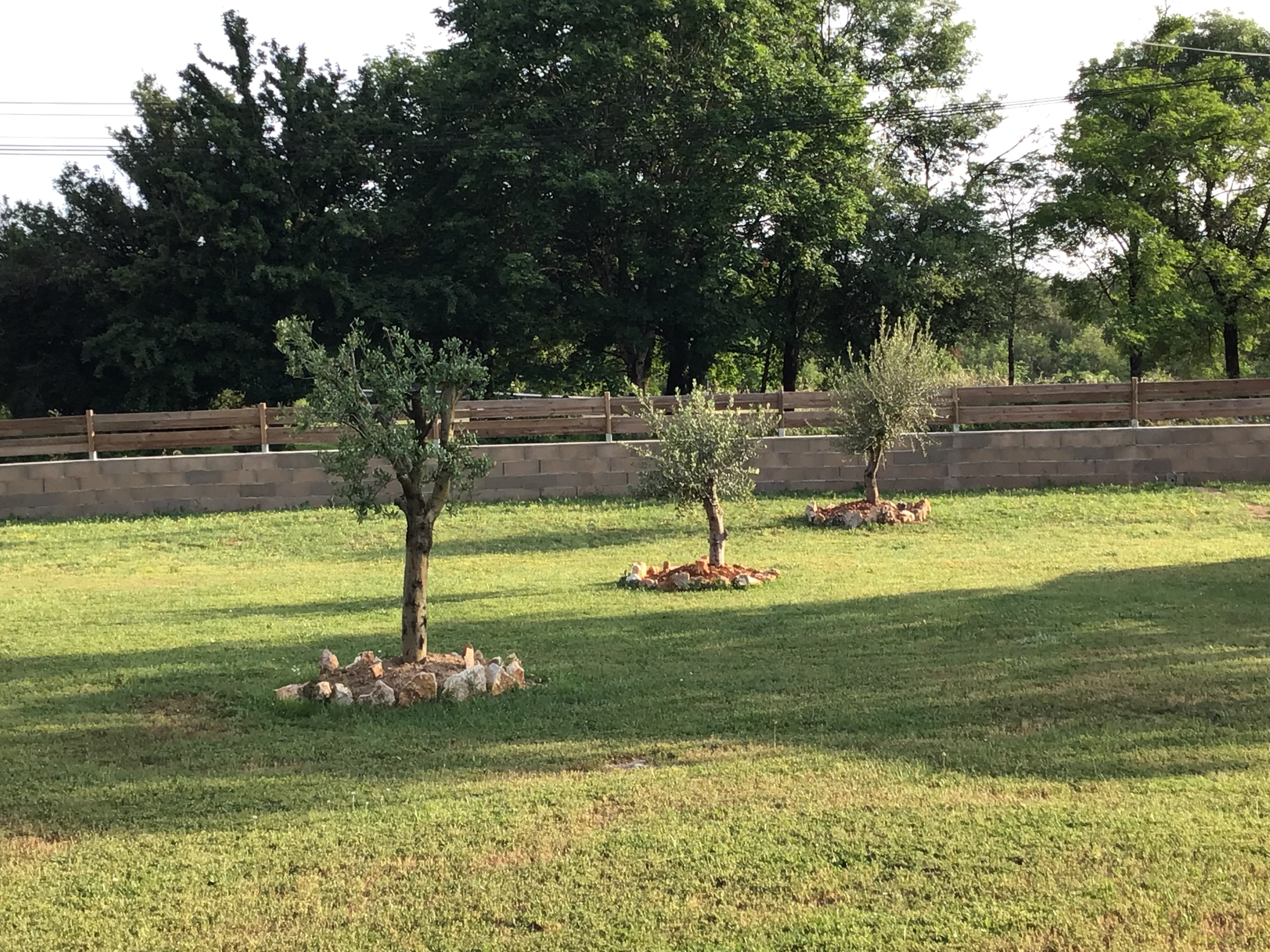 Au Jardin Secret, Gramat - photo 27