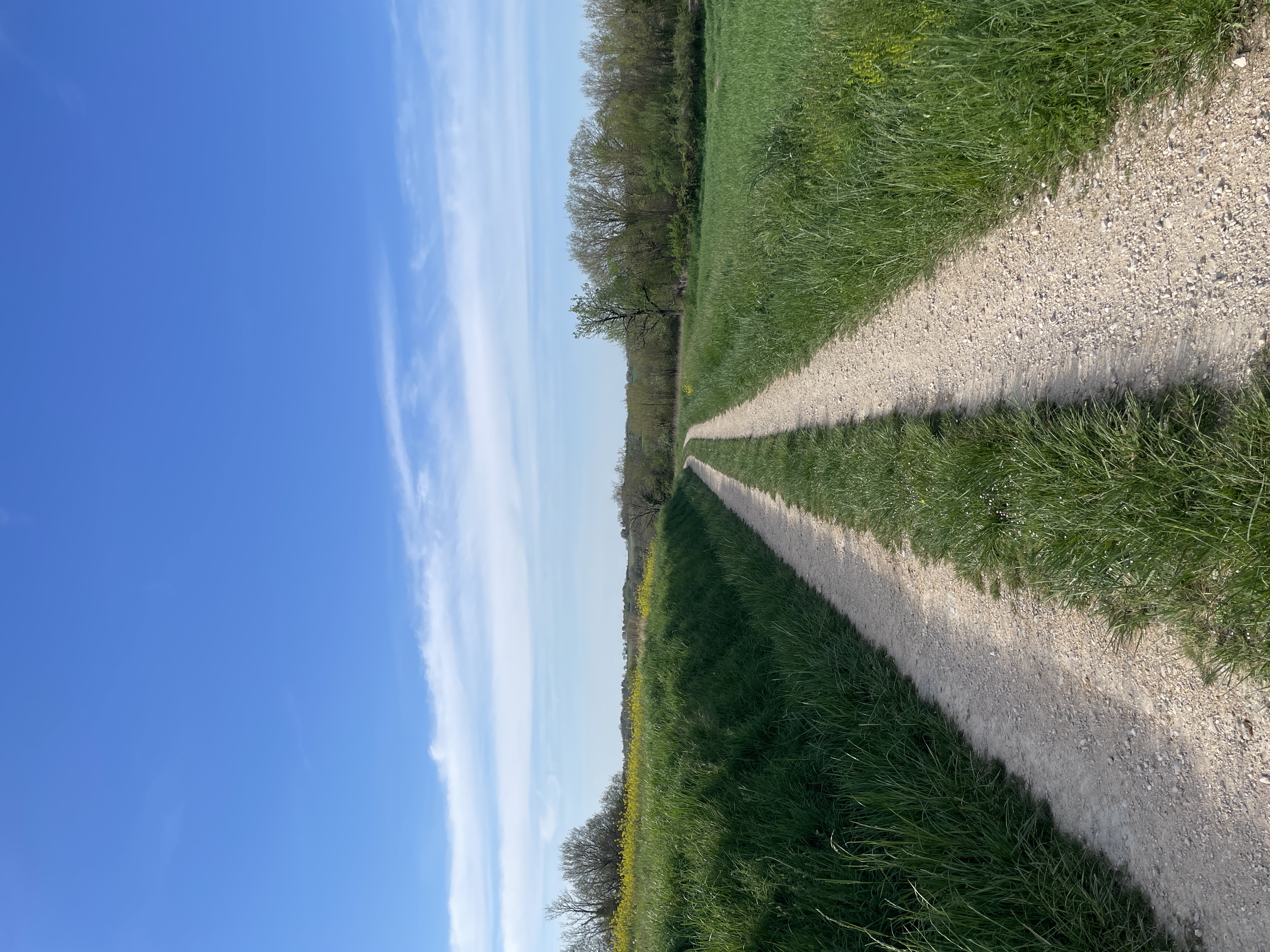 Les graviers blancs, Labastide-Marnhac - photo 3