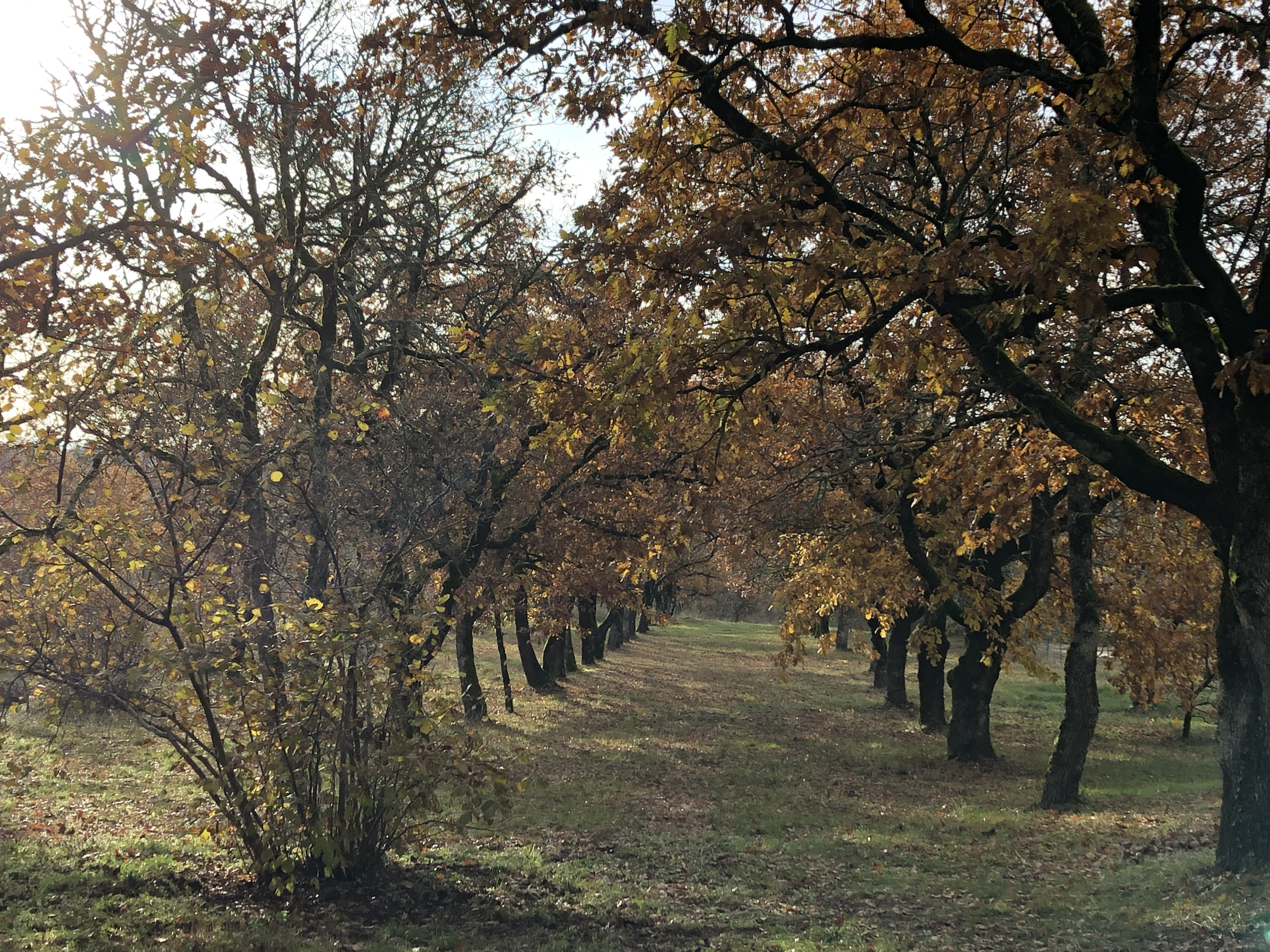 Villa Gaubert, Villesèque - photo 11