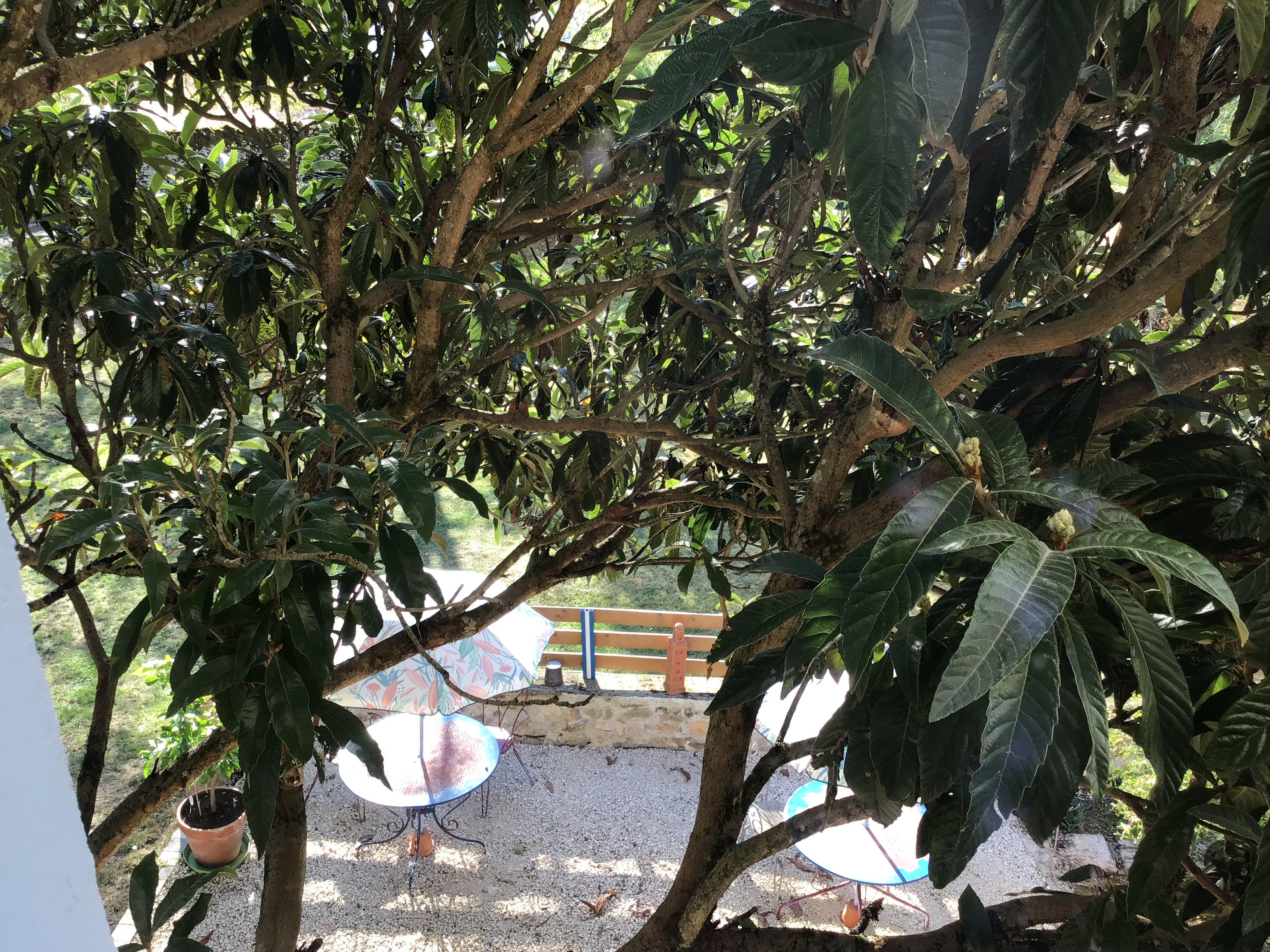 Au Jardin Secret, Gramat - photo 31