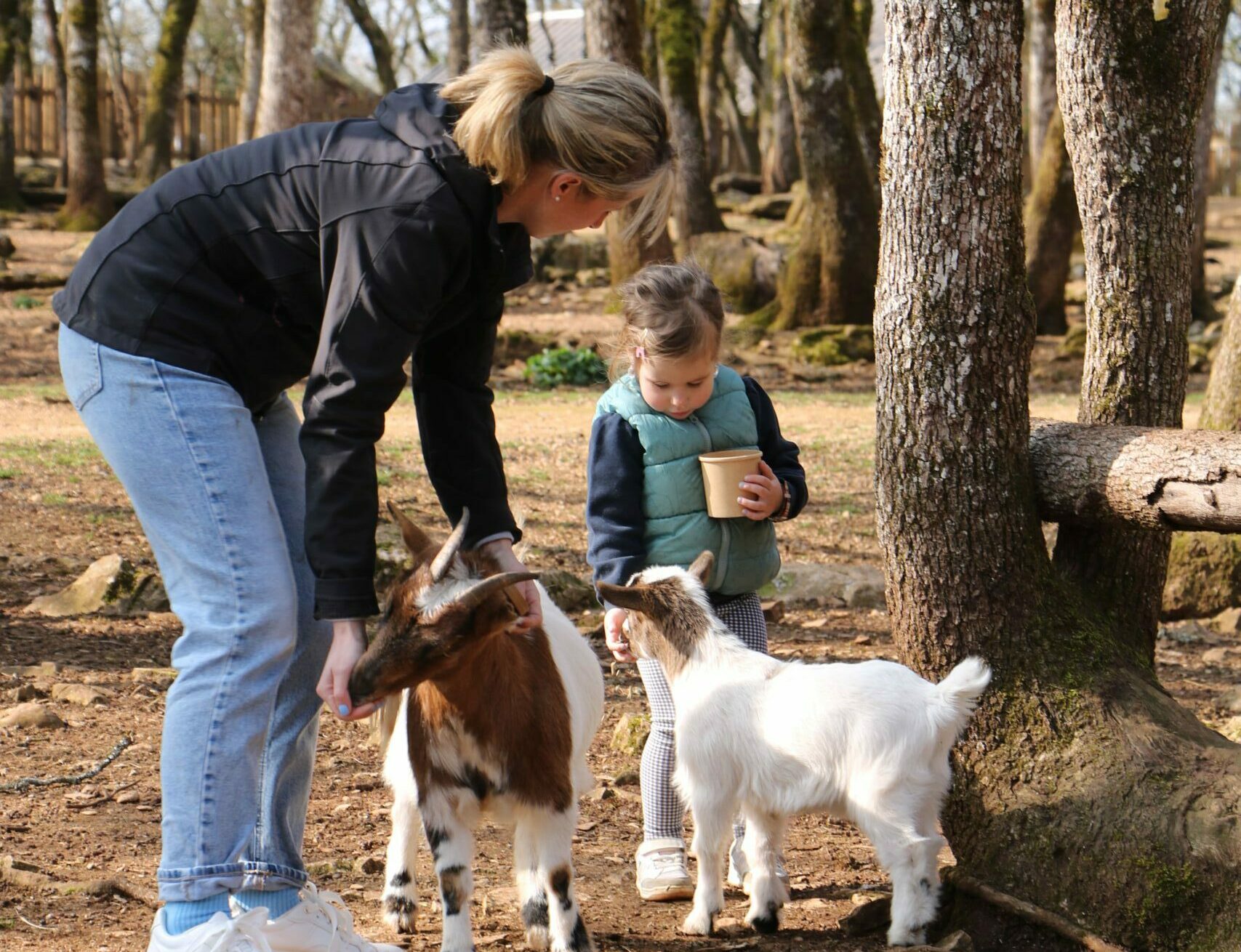 Ménagerie des Petits