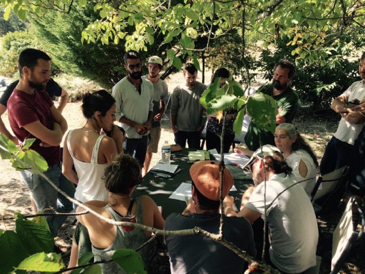 Atelier cuisine : les plantes sauvages et vivaces d’automne à la ferme Lou Baptistou au Bouyssou, Le Bouyssou - photo 3