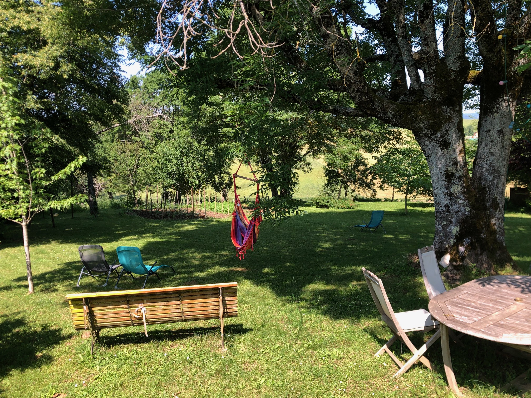 La Mariotte, Montredon - photo 9