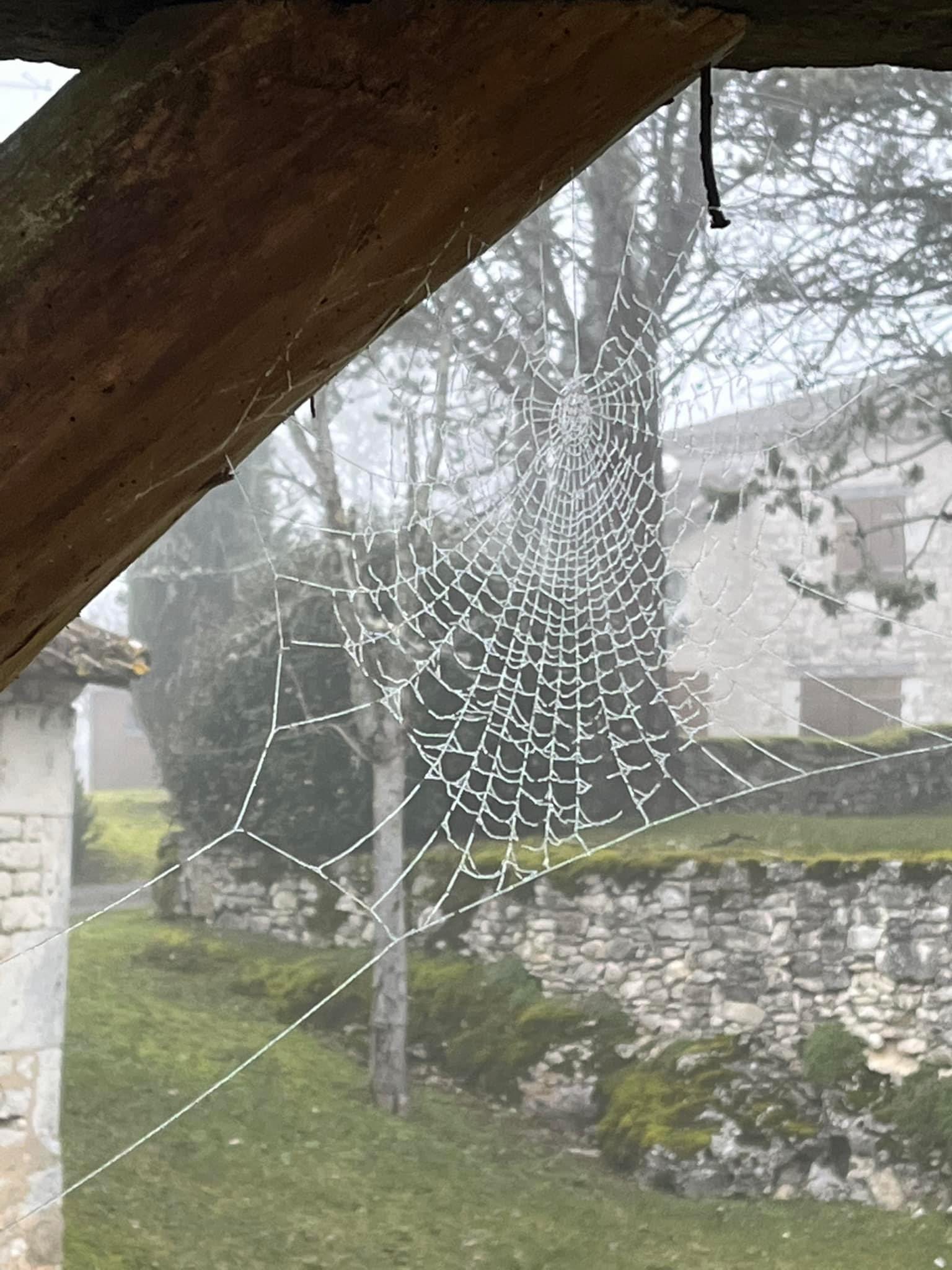 Le Pech de Valprionde, Montcuq-en-Quercy-Blanc - photo 3