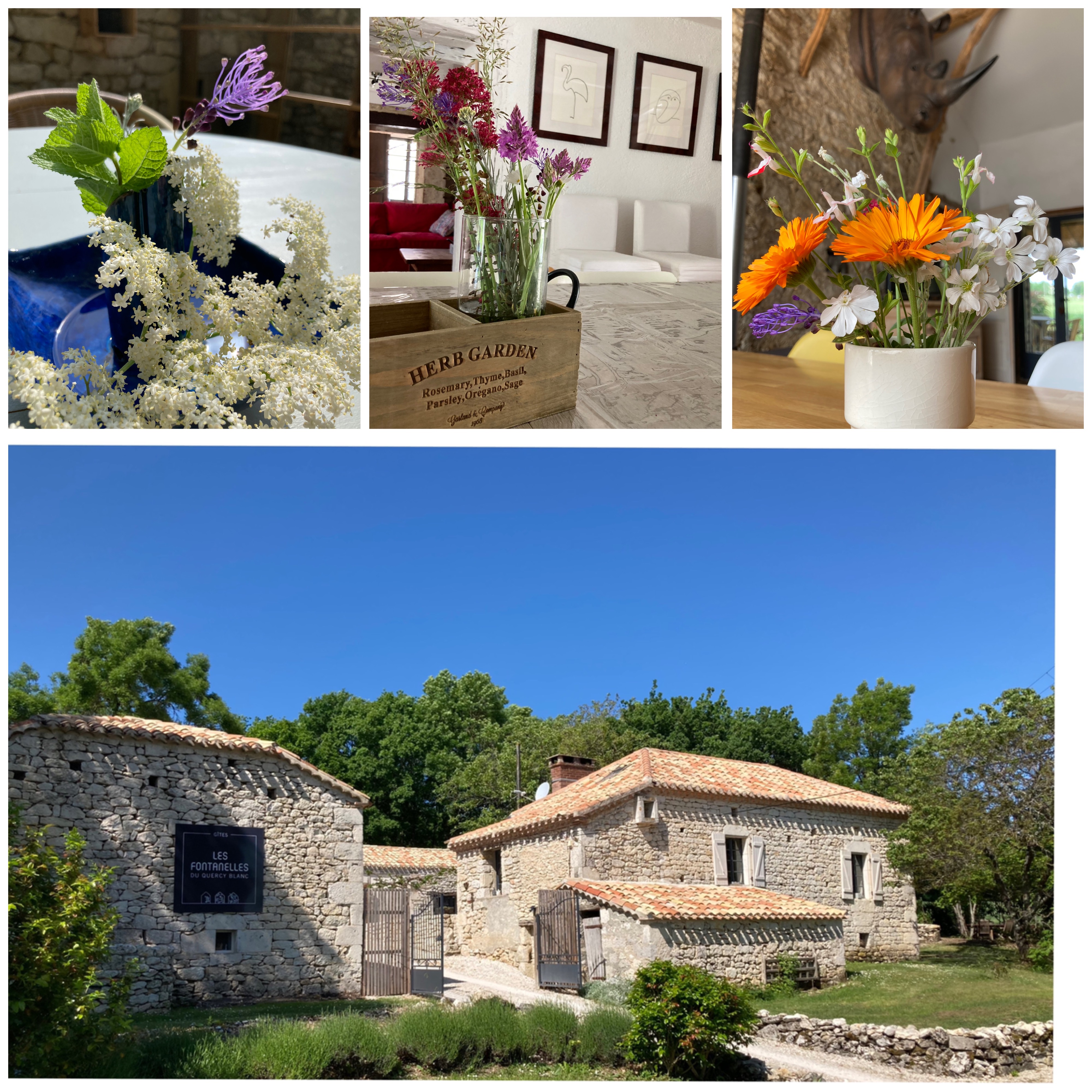 Gîtes Les Fontanelles du Quercy Blanc, Montcuq-en-Quercy-Blanc - photo 8