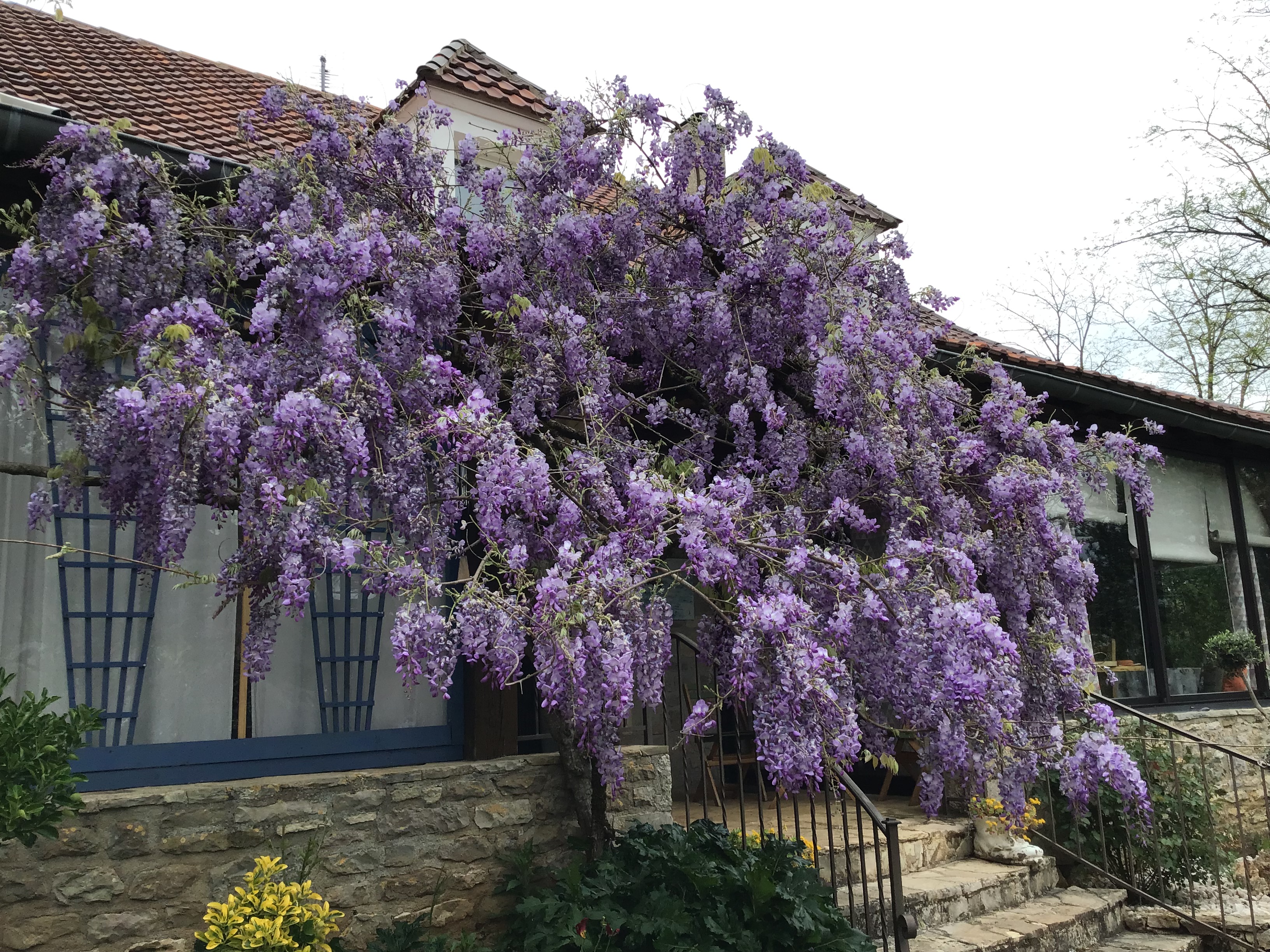 Au Petit Bonheur, Gramat - photo 12
