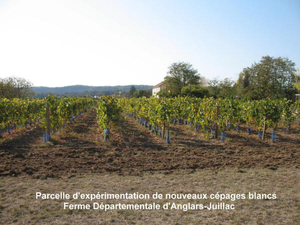 Ferme Départementale d’Anglars-Juillac / Château d'Anglars
