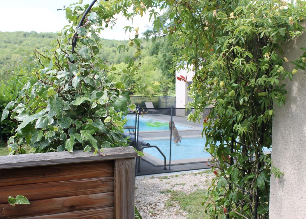 espace piscine vue de la terrasse Grange