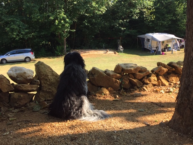 Domaine Troteligotte, Pomarède - photo 7