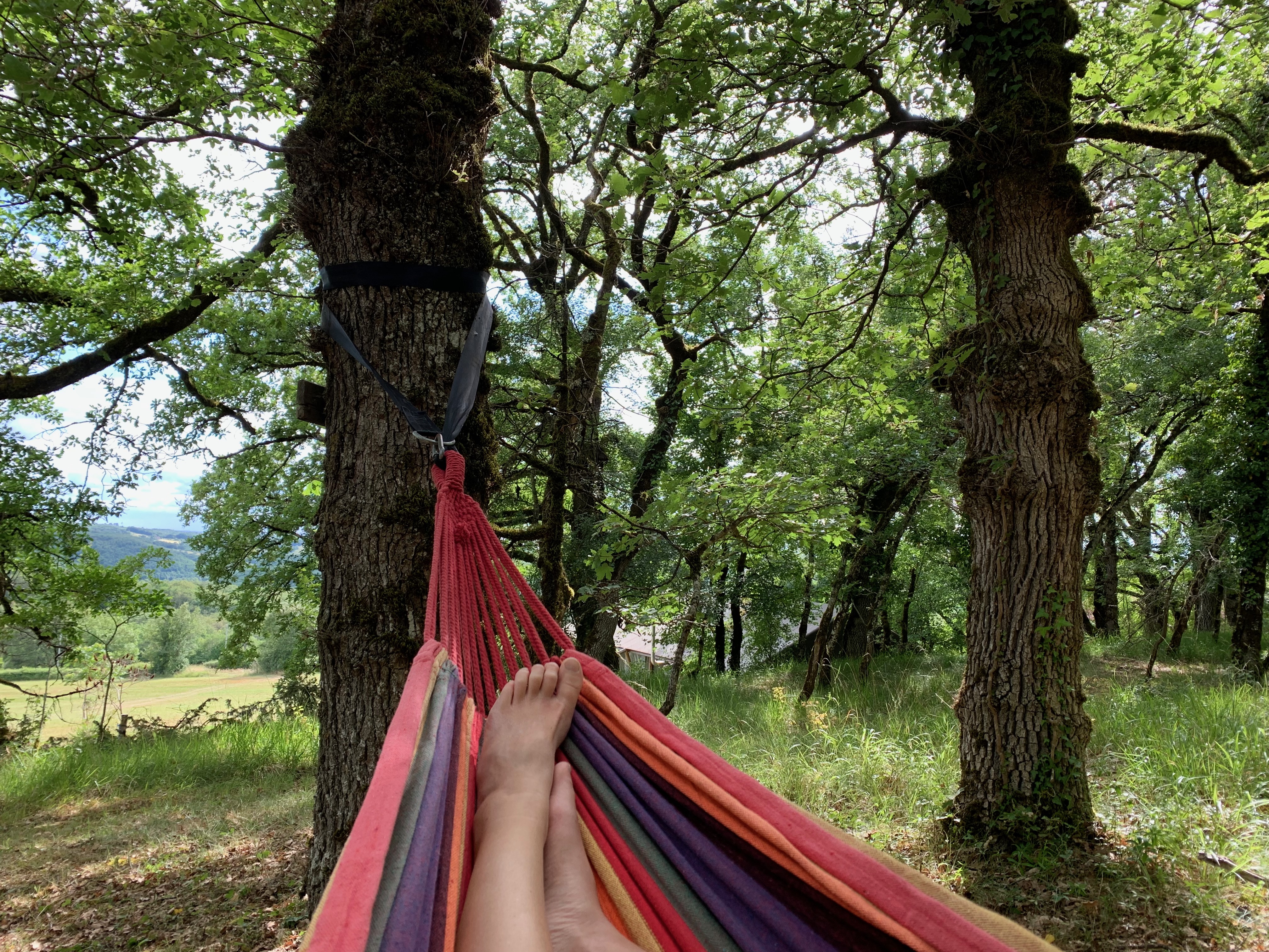 Tente Safari "Pèlerin", Montamel - photo 4