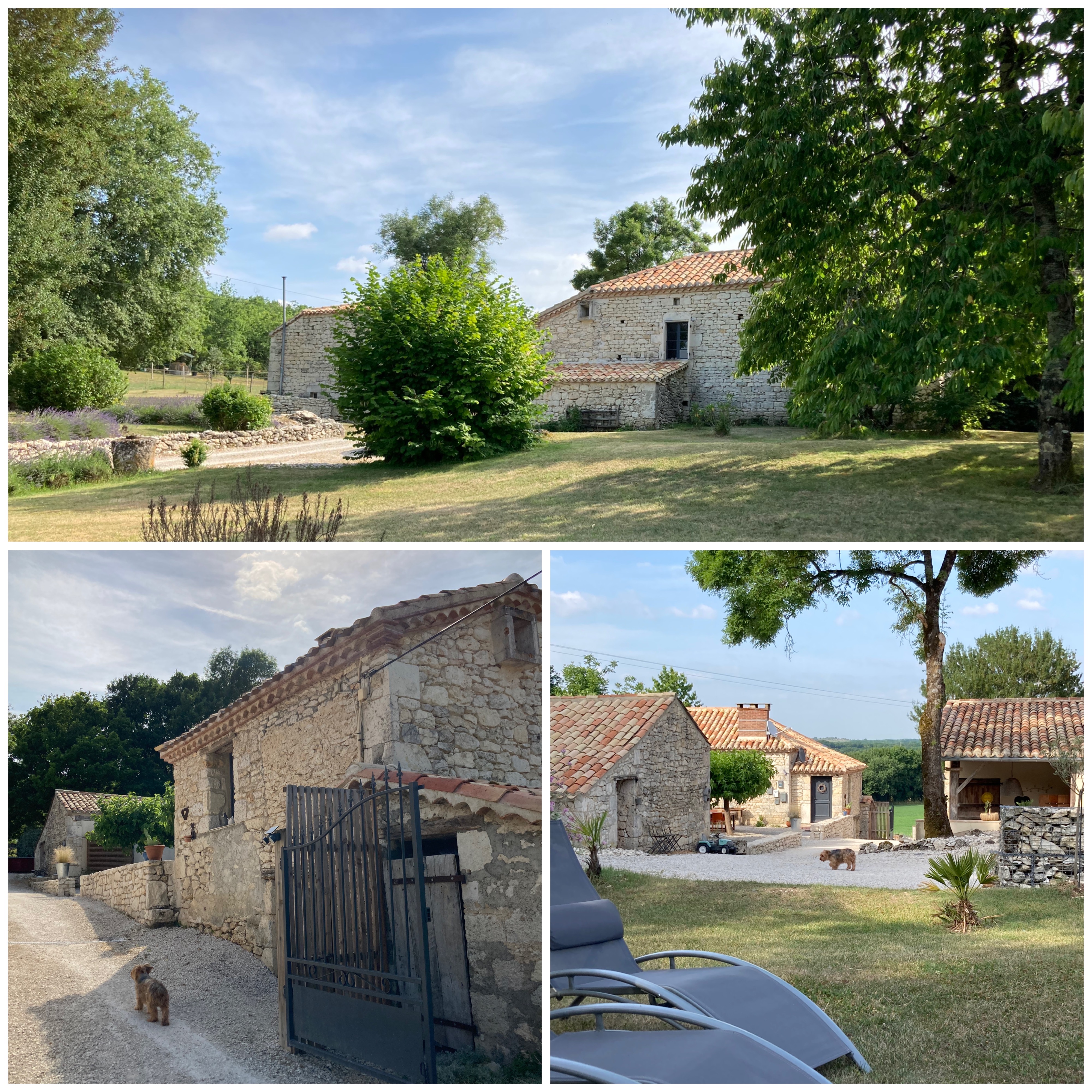 Gîtes Les Fontanelles du Quercy Blanc - Hasard