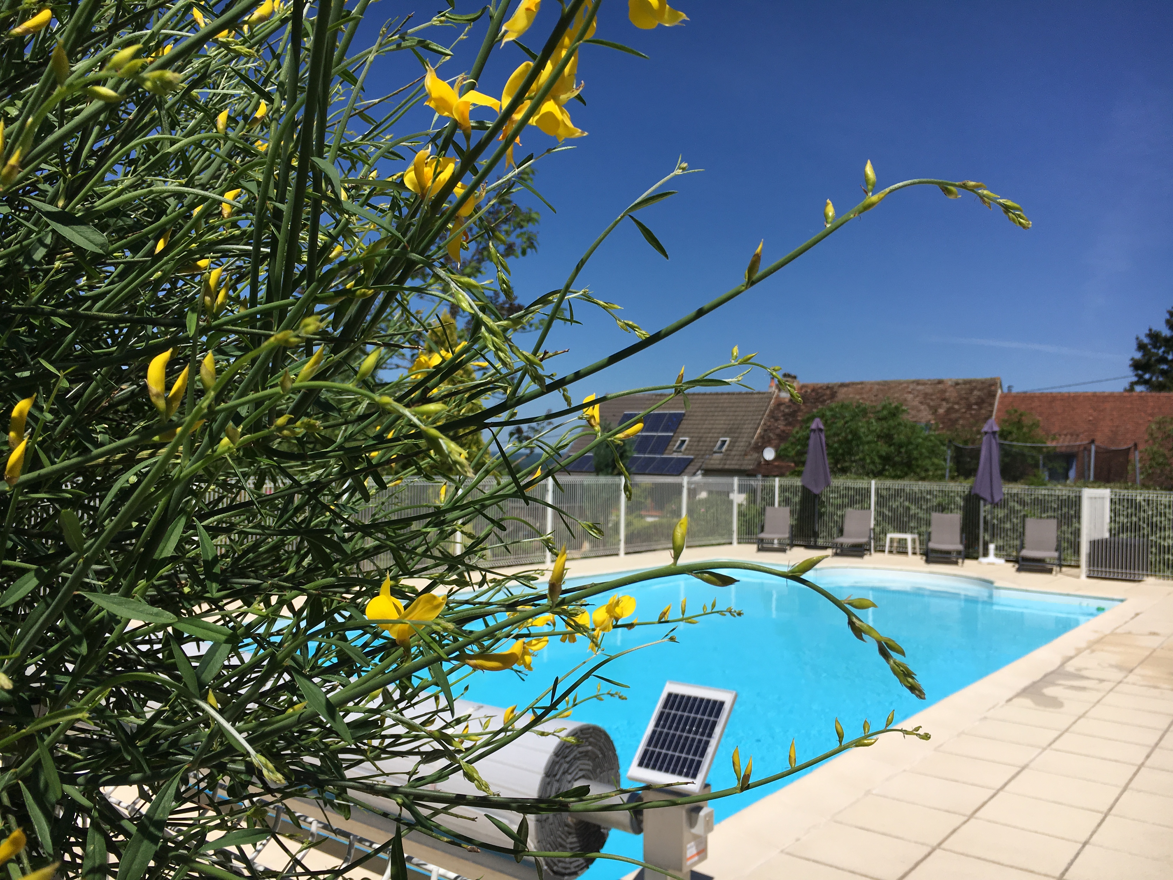 OASIS DU LOT - GITE YUCCA