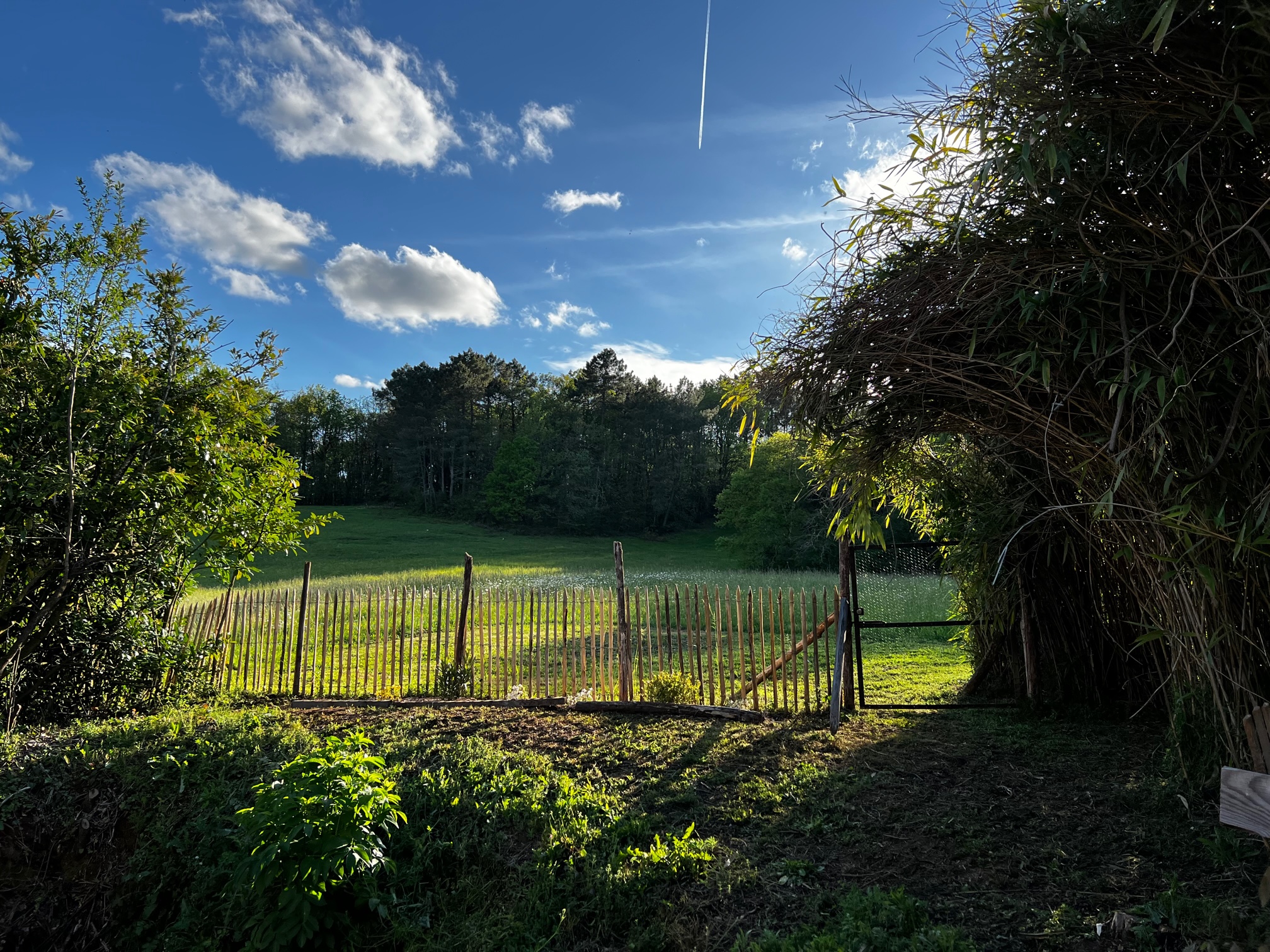 Fournet Bas, Saint-Martin-le-Redon - photo 18