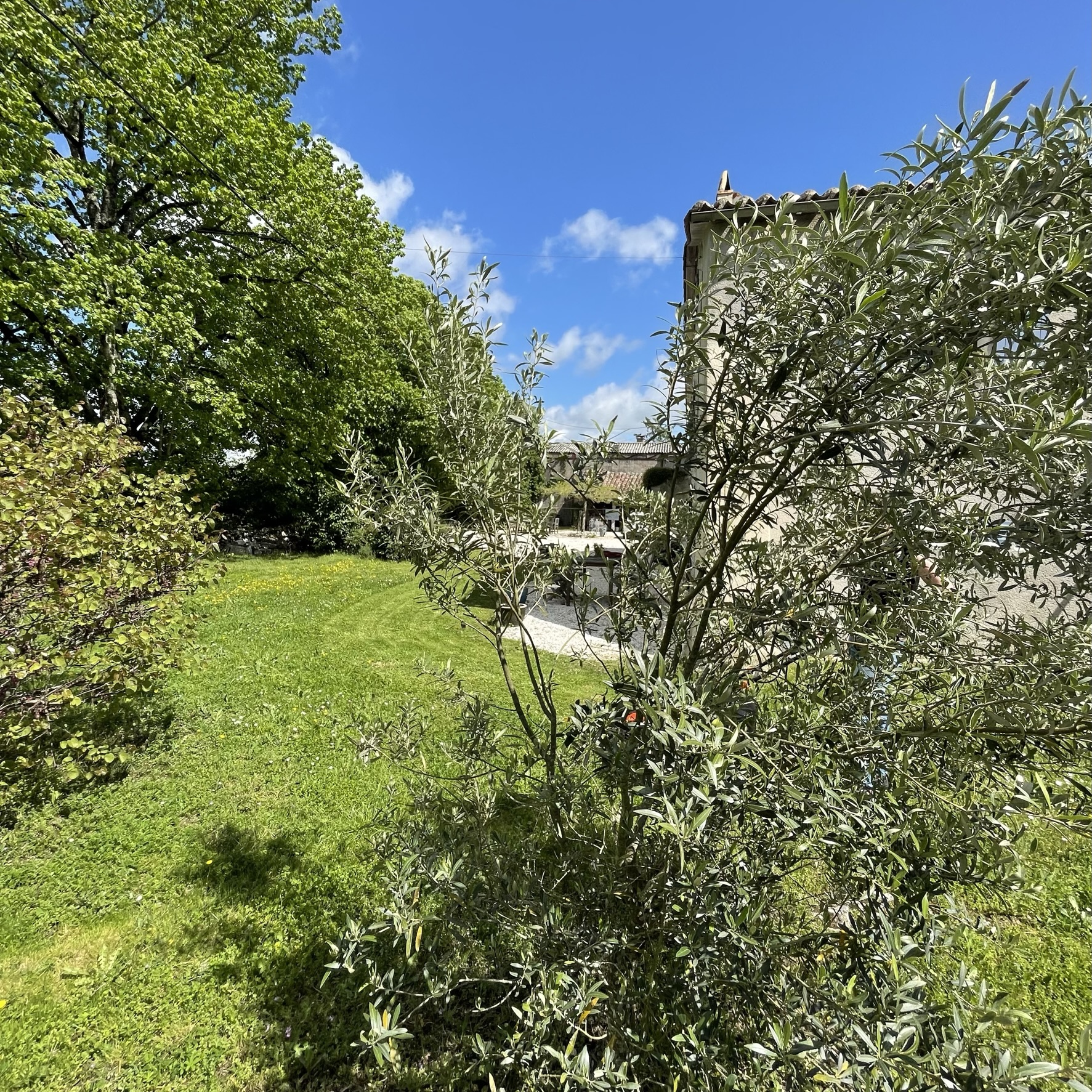 Chez Elisabeth, Porte-du-Quercy - photo 6