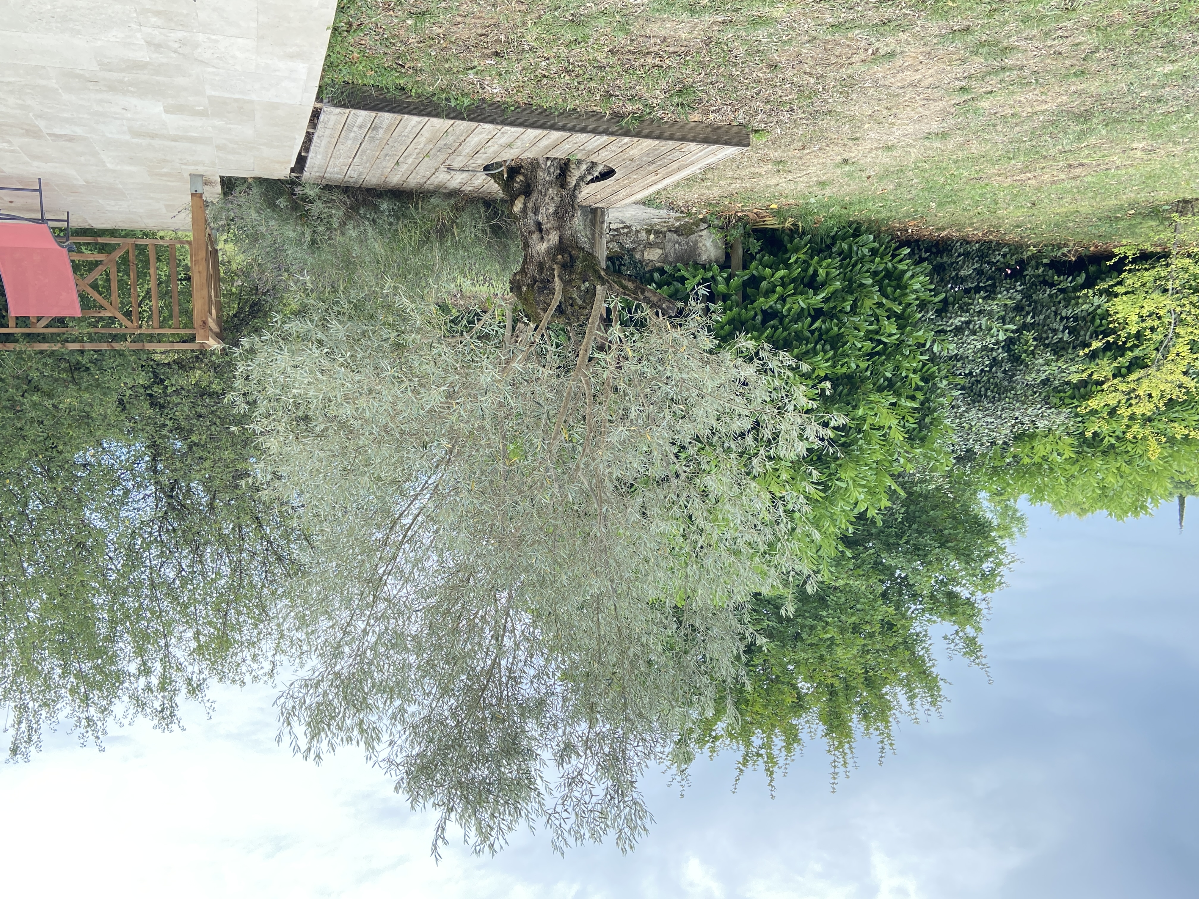 Les Lumières du Causse - La Grange Haute, Bellefont-La Rauze - photo 6