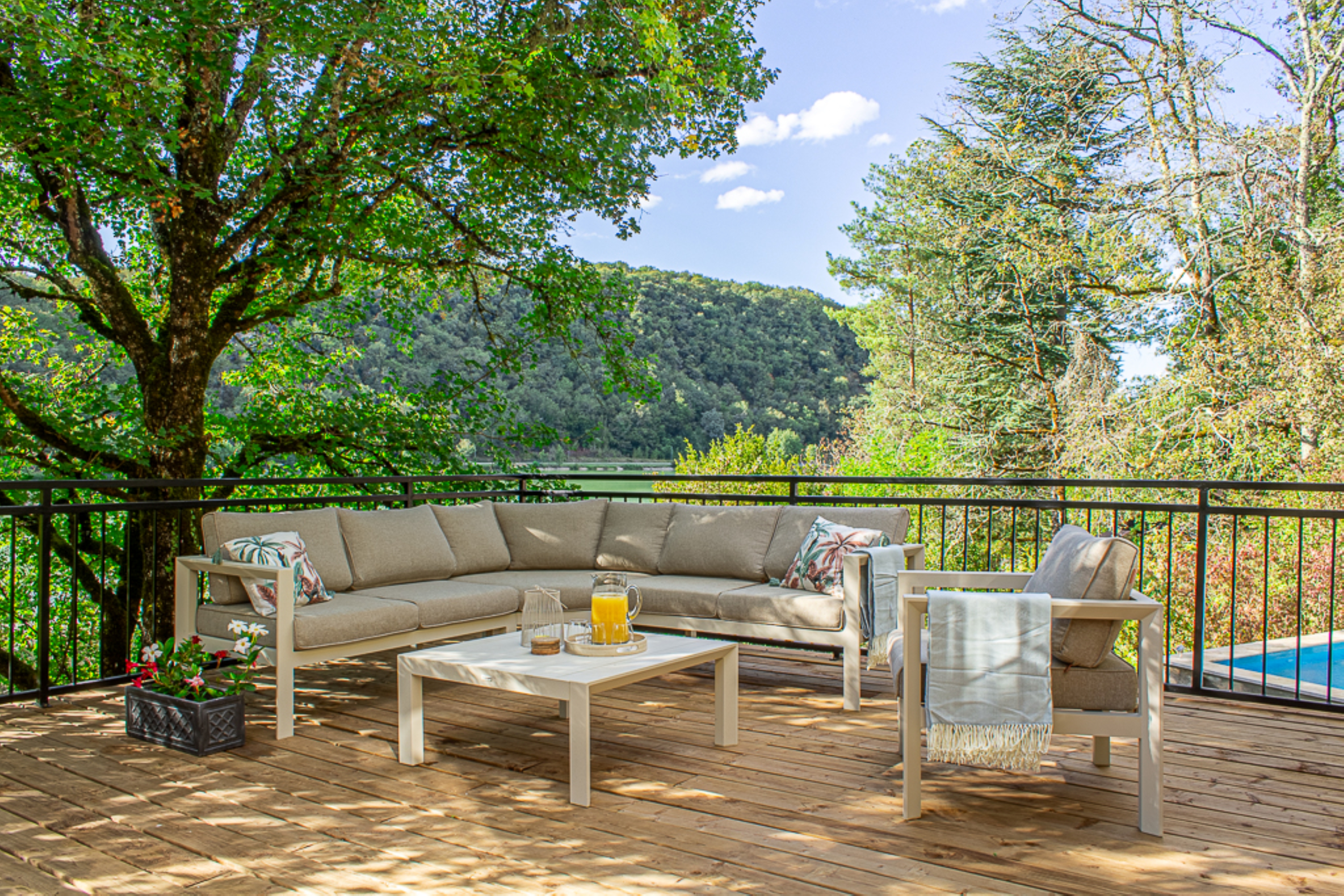 The Lake House Catus