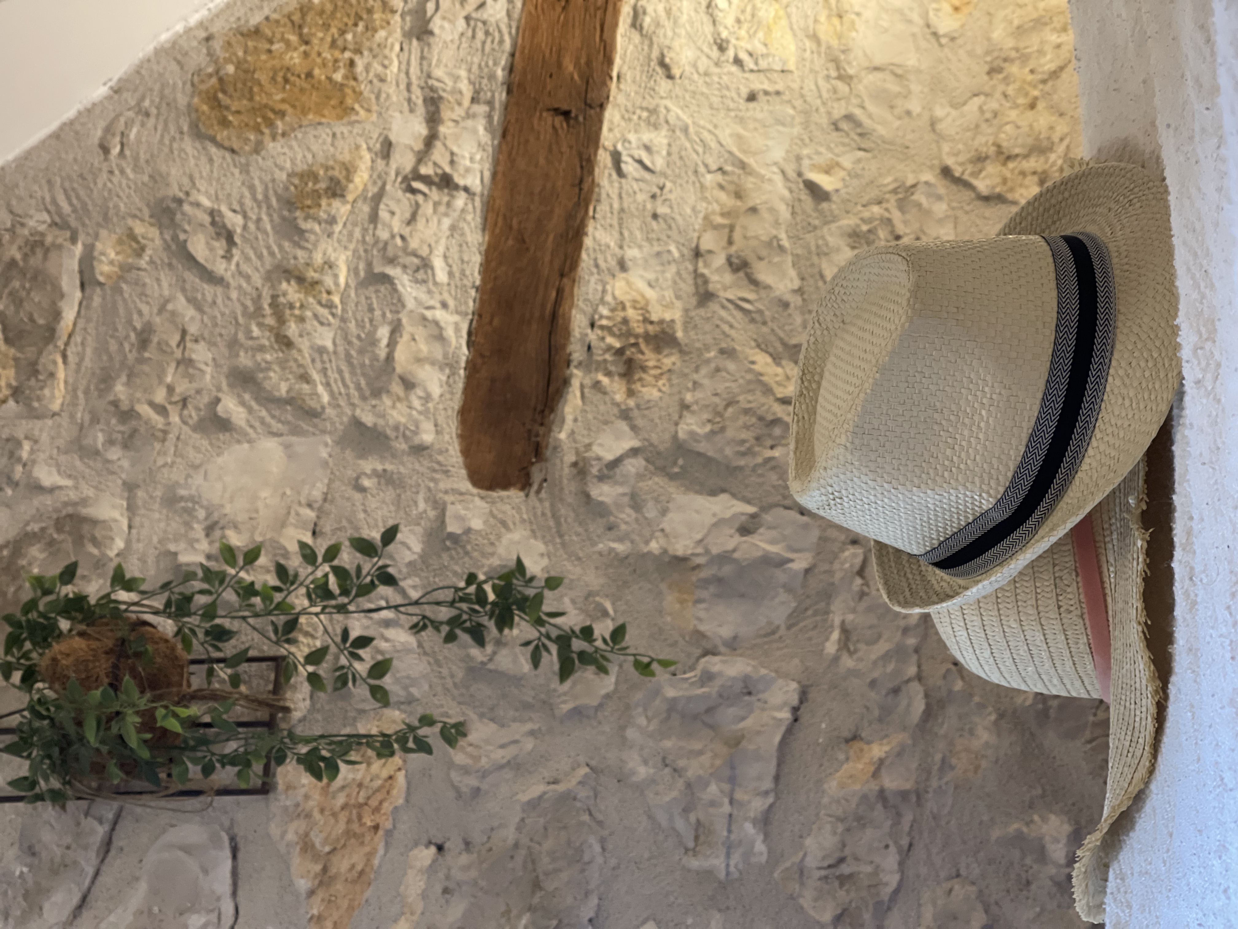 Chez Pierre, Mayrac - photo 3