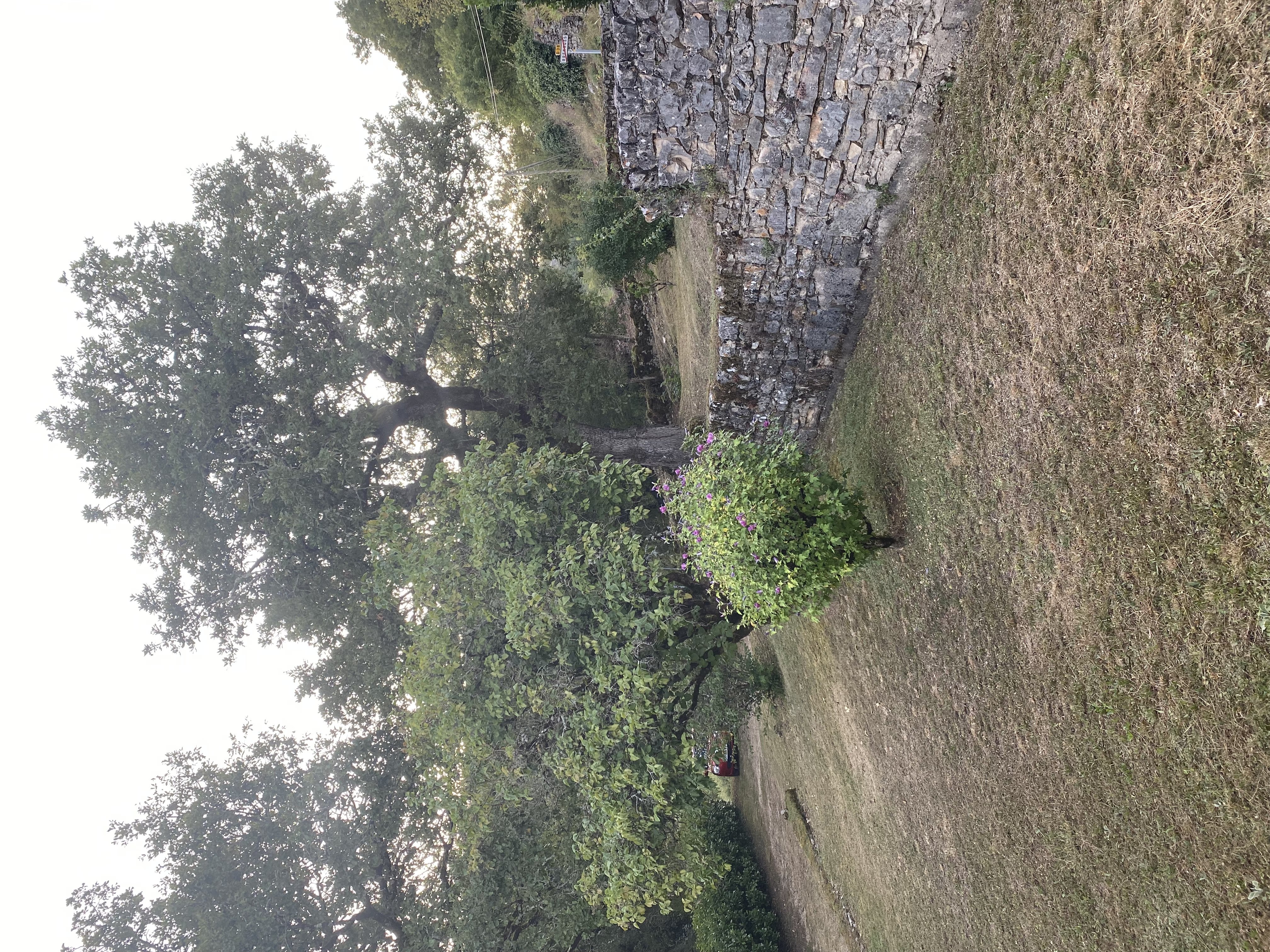 Demeure du Mas de Bessac, Brengues - photo 11