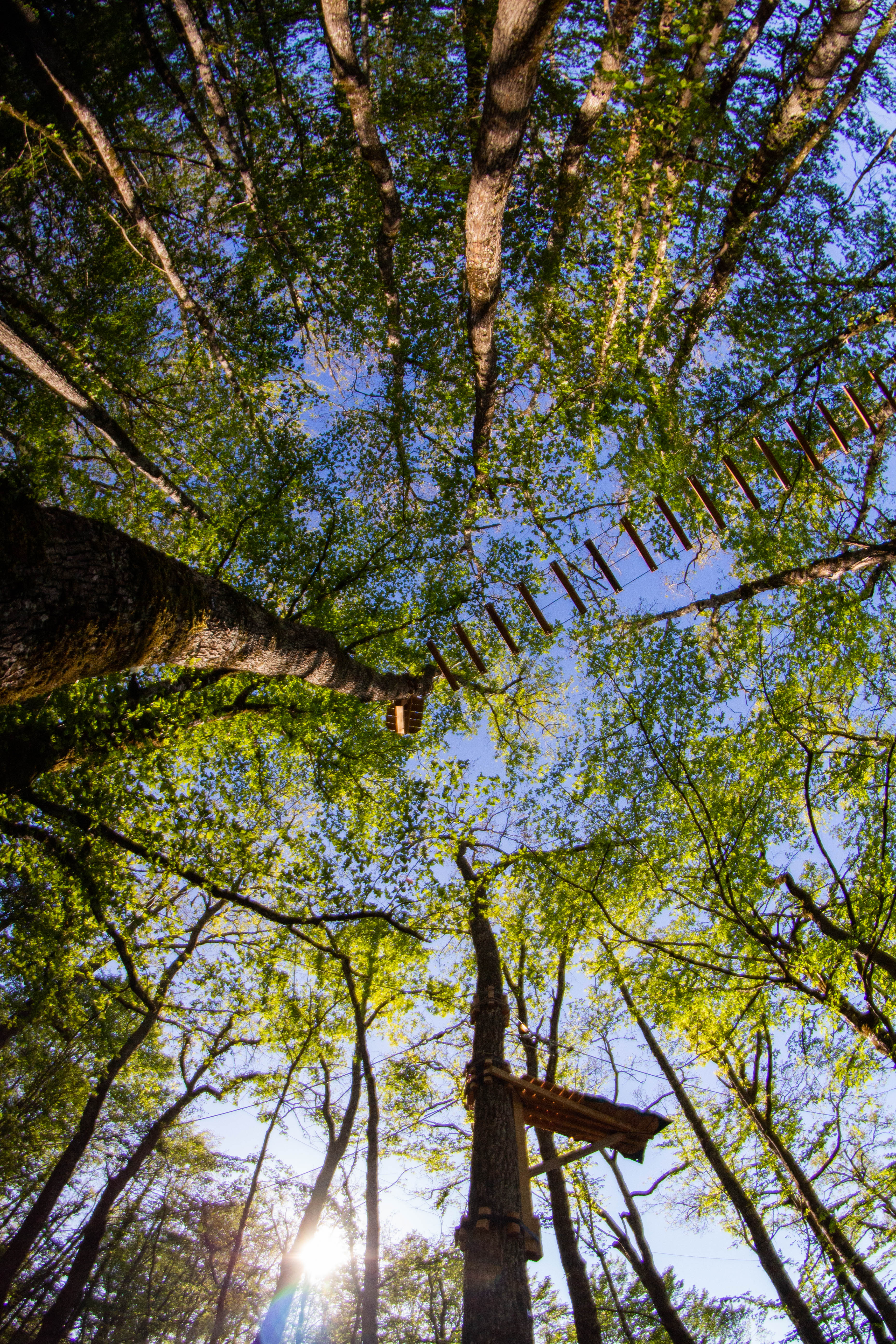 Le Bois des Elfes - Parc Aventure, Gourdon - photo 2