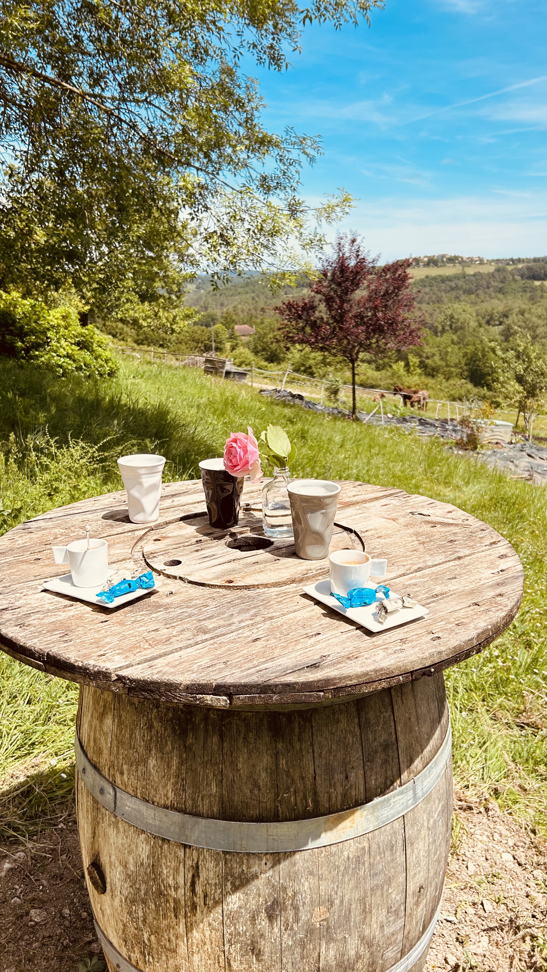 Le Mas des Papillons, Porte-du-Quercy - photo 28