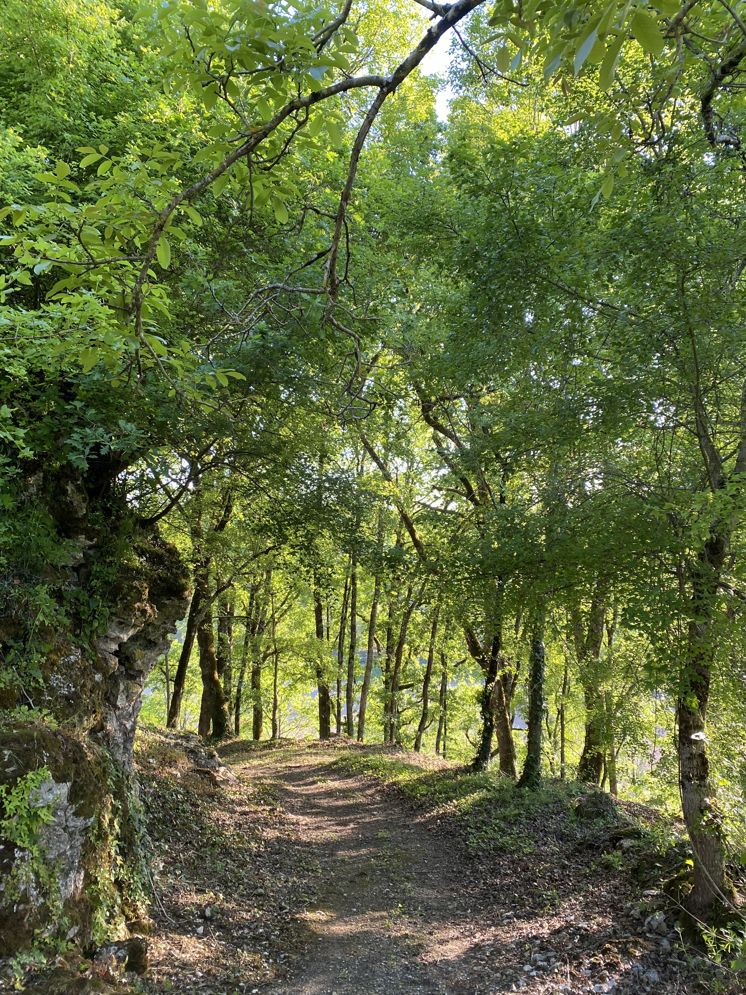 Le Pech de Valprionde, Montcuq-en-Quercy-Blanc - photo 12