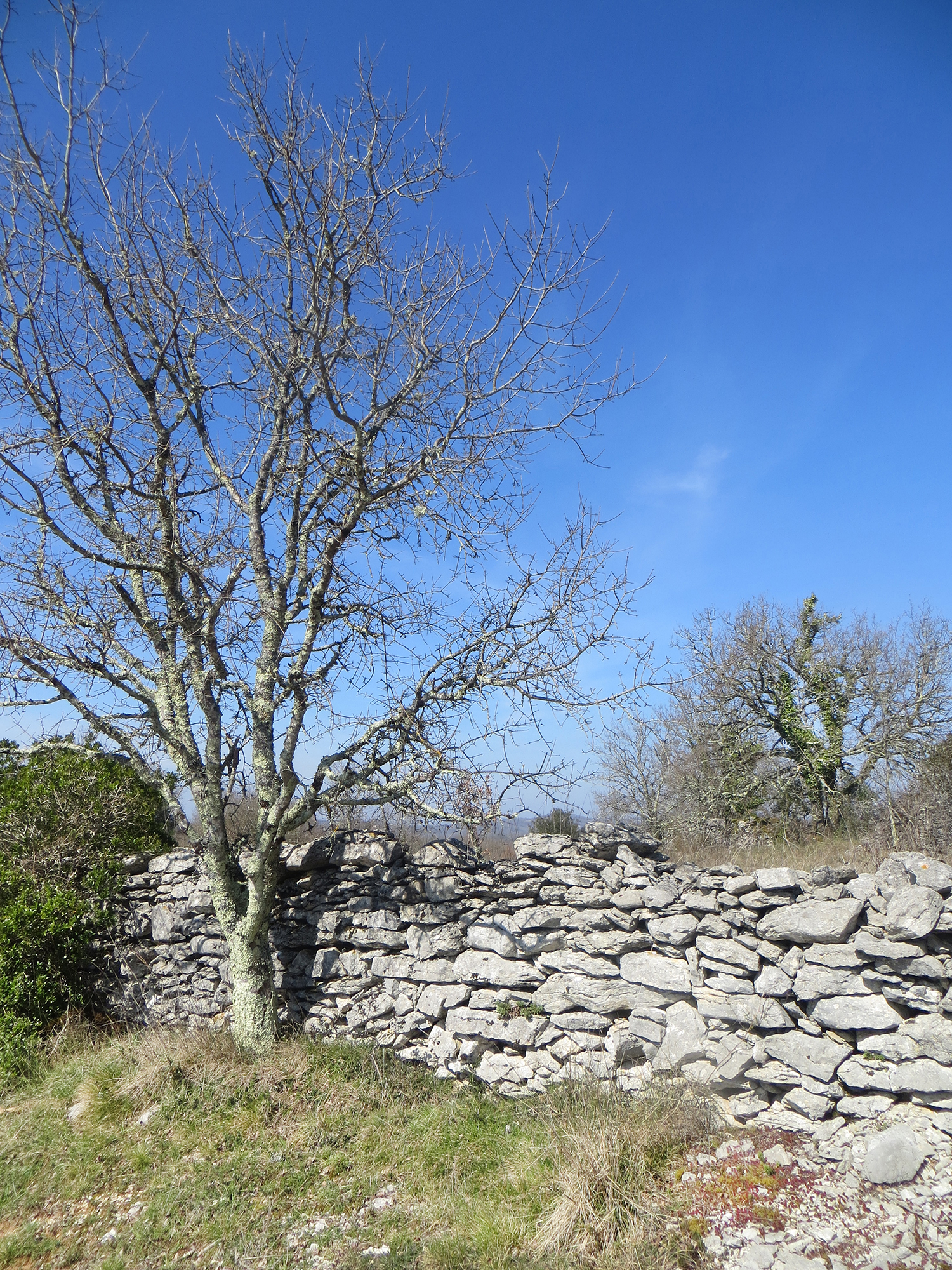 Point de vue de Saint-Géry, Saint Géry-Vers - photo 3