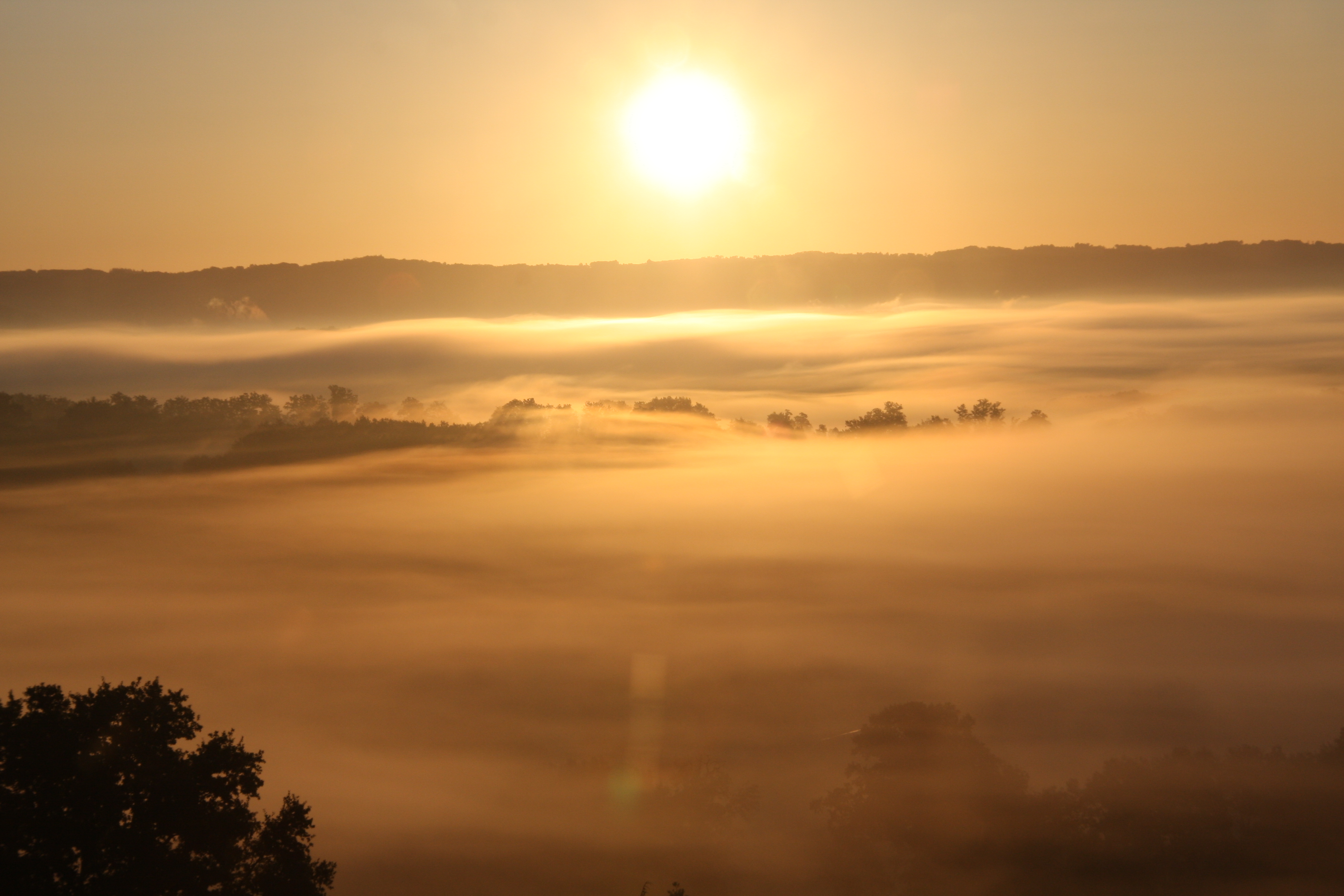 La Forêt aux Loups, Cavagnac - photo 3