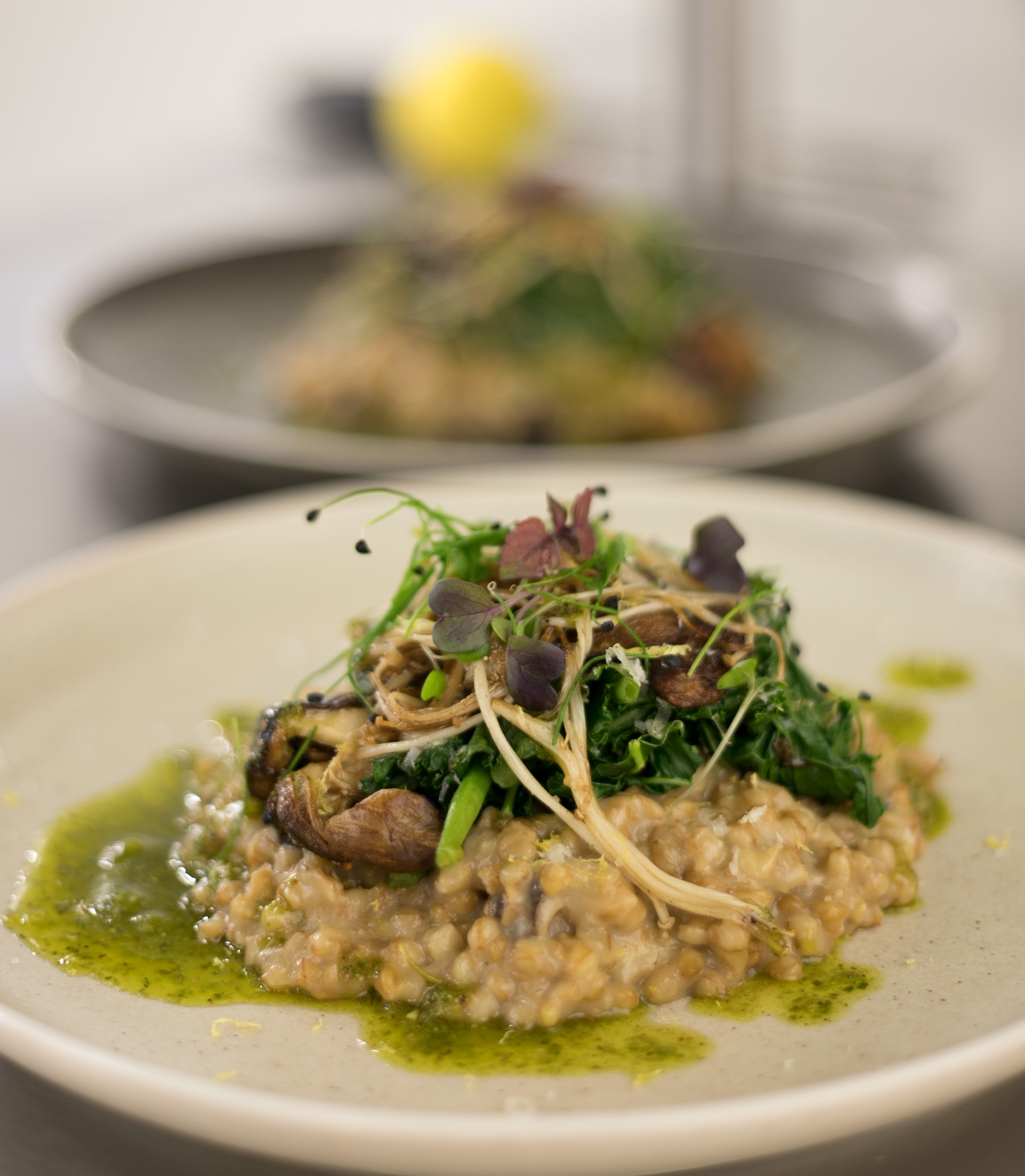 Restaurant Le Caillau, Vire-sur-Lot - photo 11