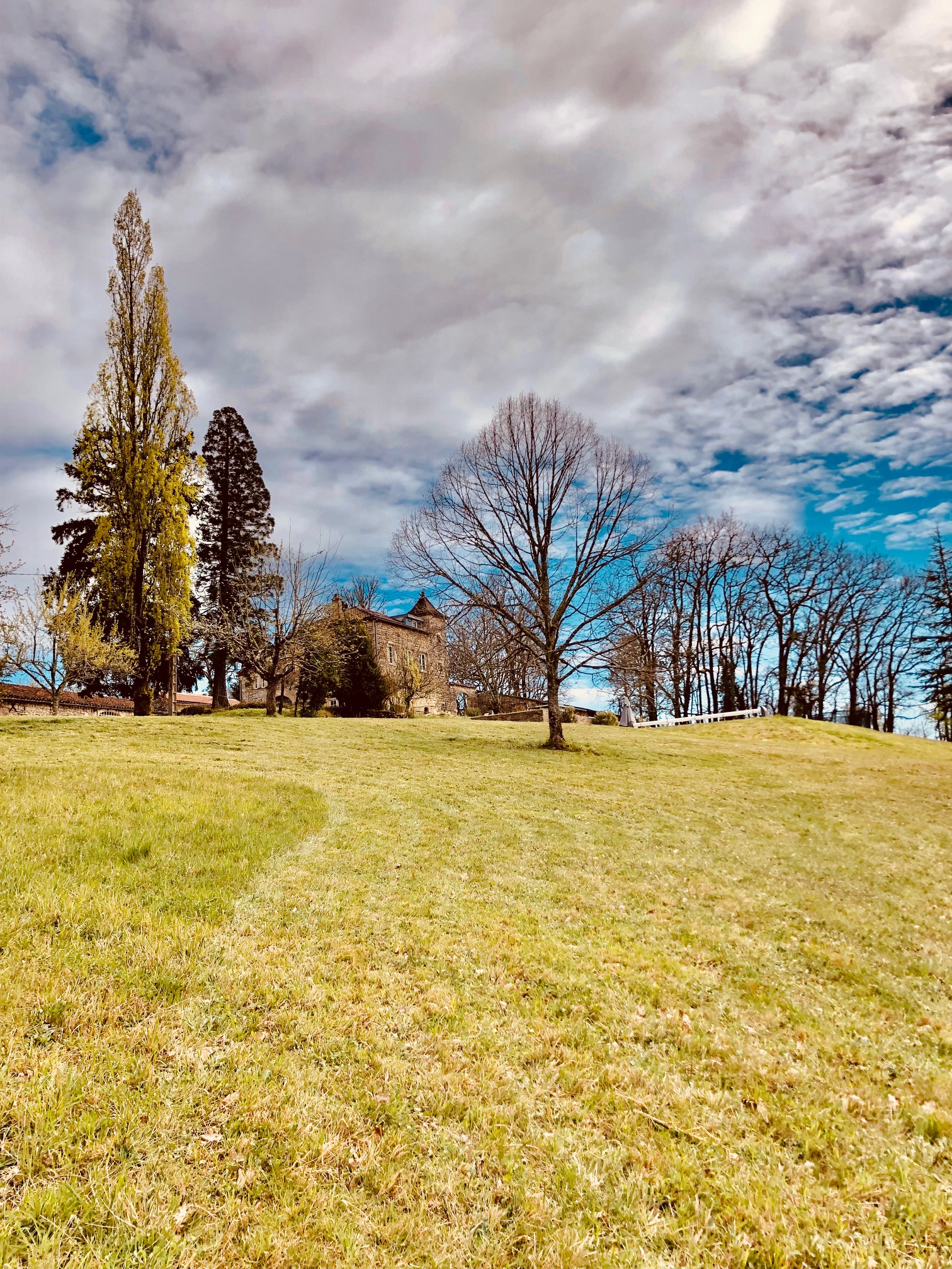 Domaine Lajanèze - Le Figuier, Montcabrier - photo 25