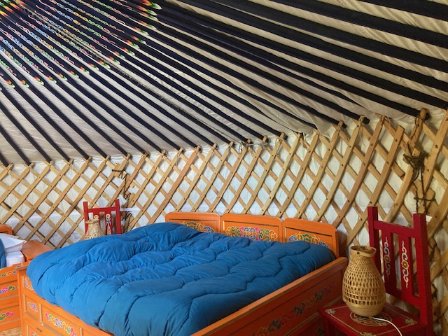 La Yourte bleue de la Mariotte, Montredon - photo 3