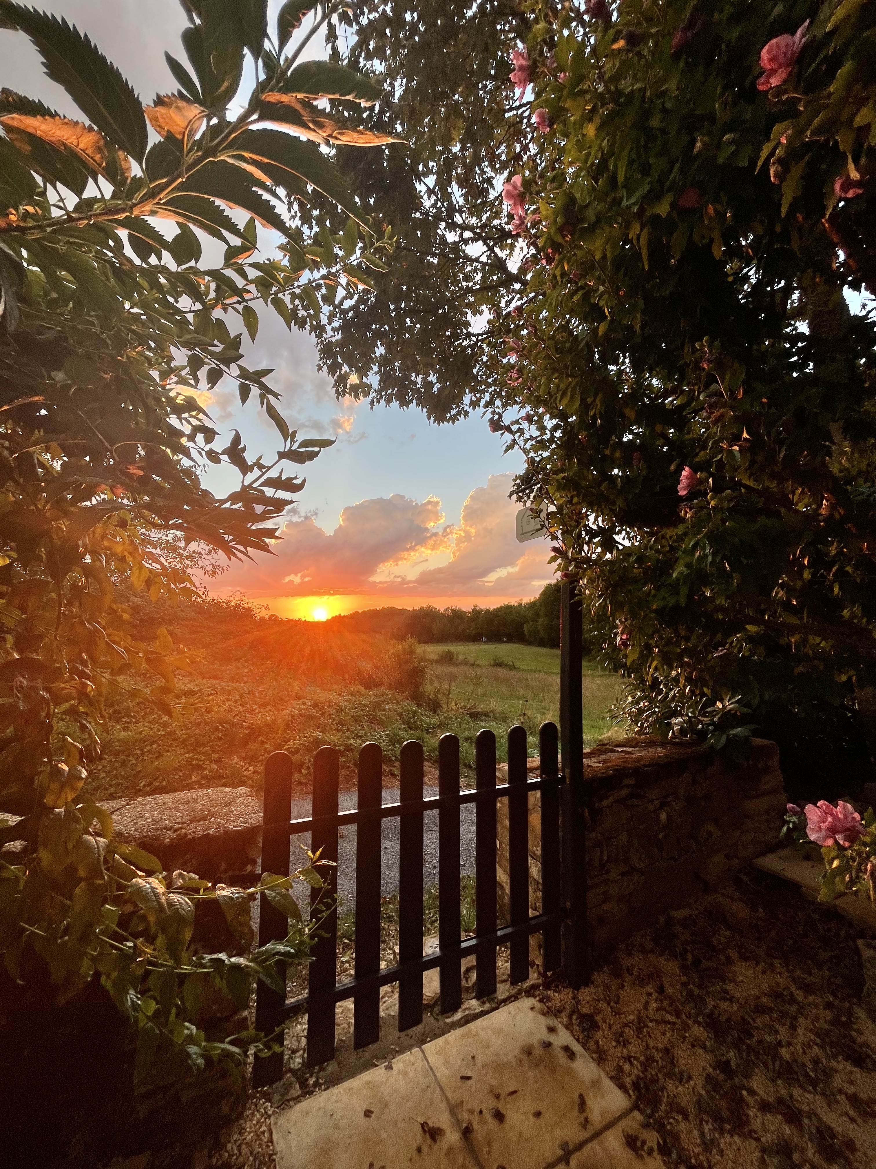 Le Petit Flory, Dégagnac - photo 12