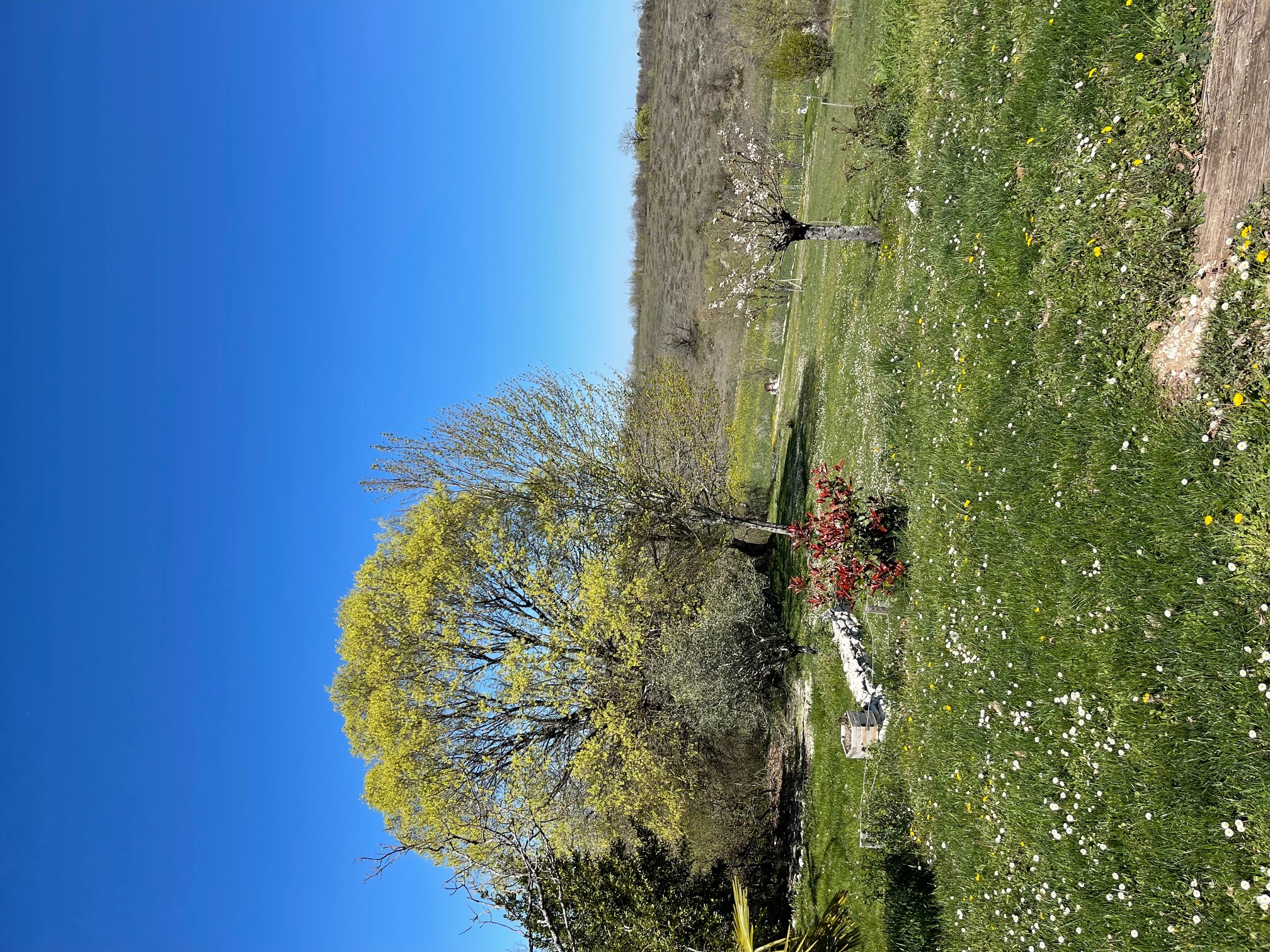 Villa Le Paradis, Pern