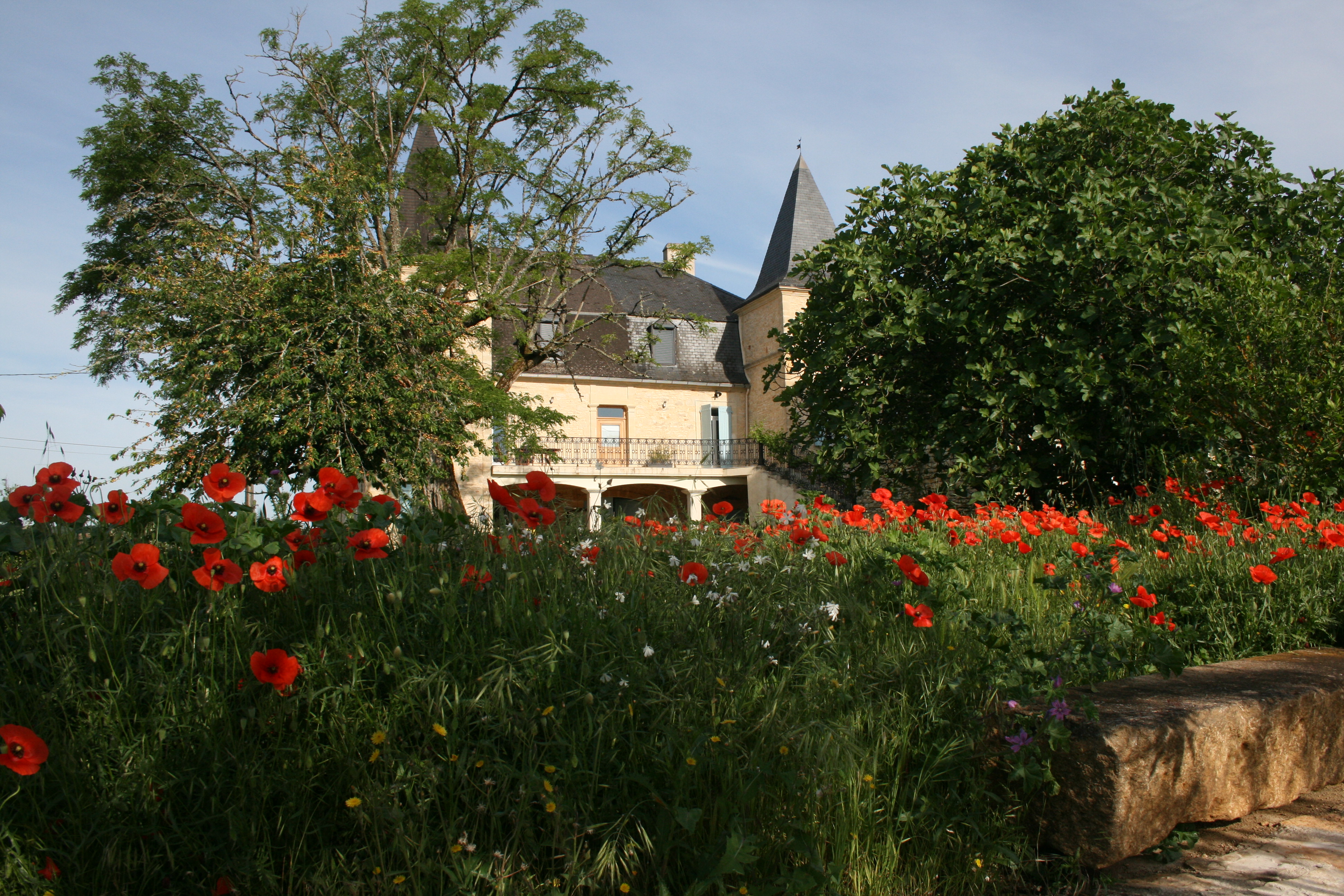 Domaine De Merlein, Salviac - photo 2