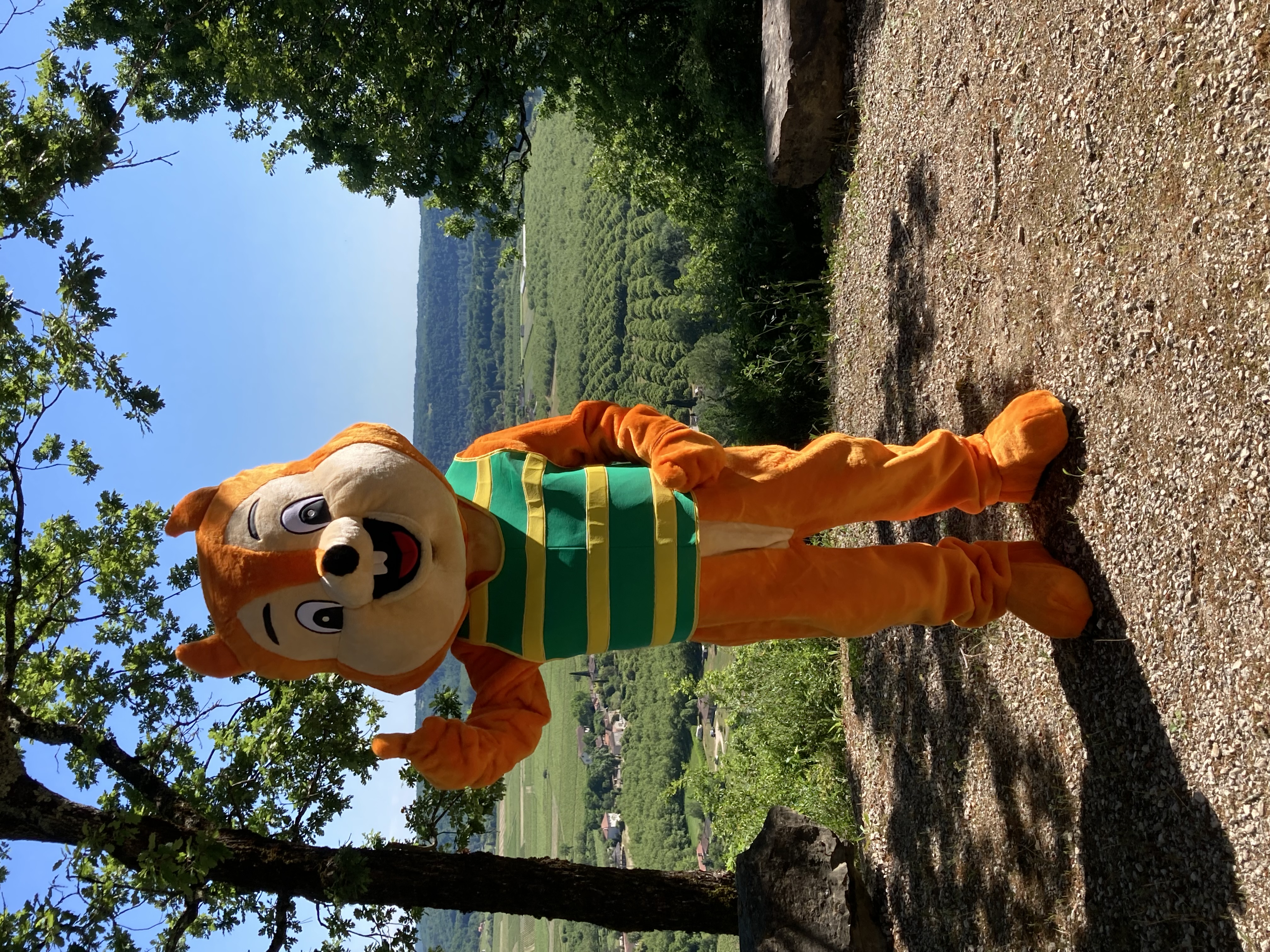 Village Vacances Camping Les Bois de Prayssac, Prayssac - photo 9