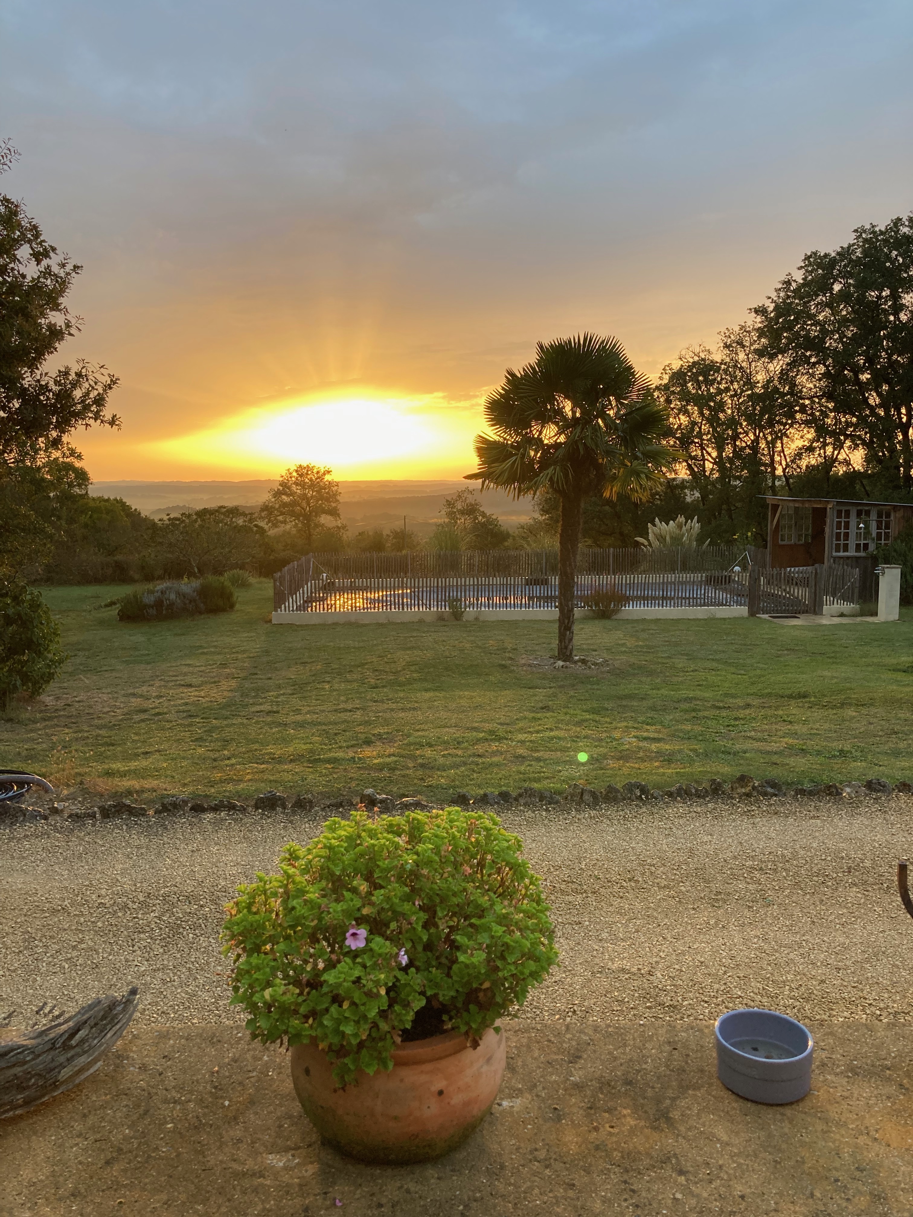 Belle Boissierette : Cozy