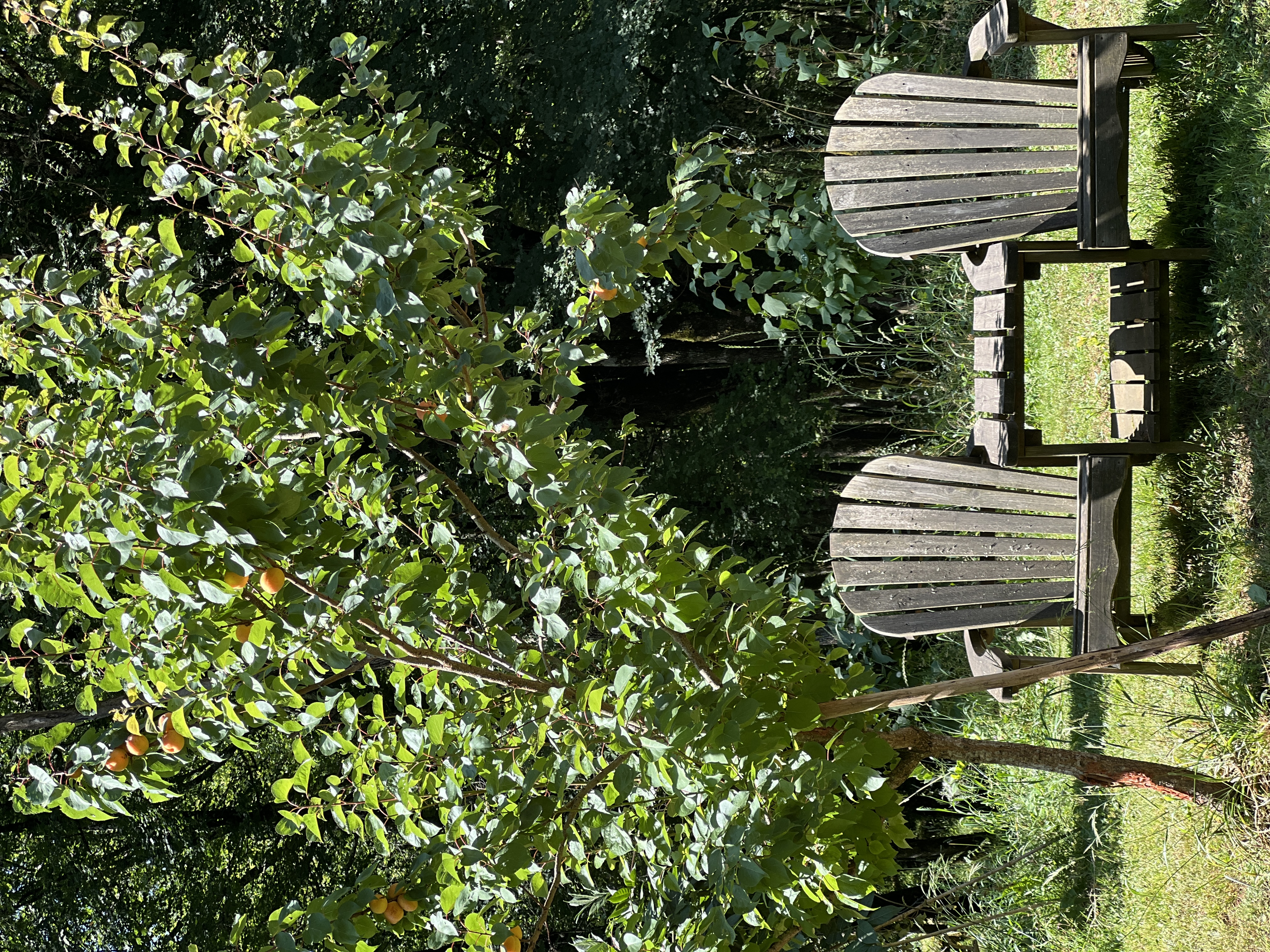 Domaine du Mombret Haut - Aire Naturelle