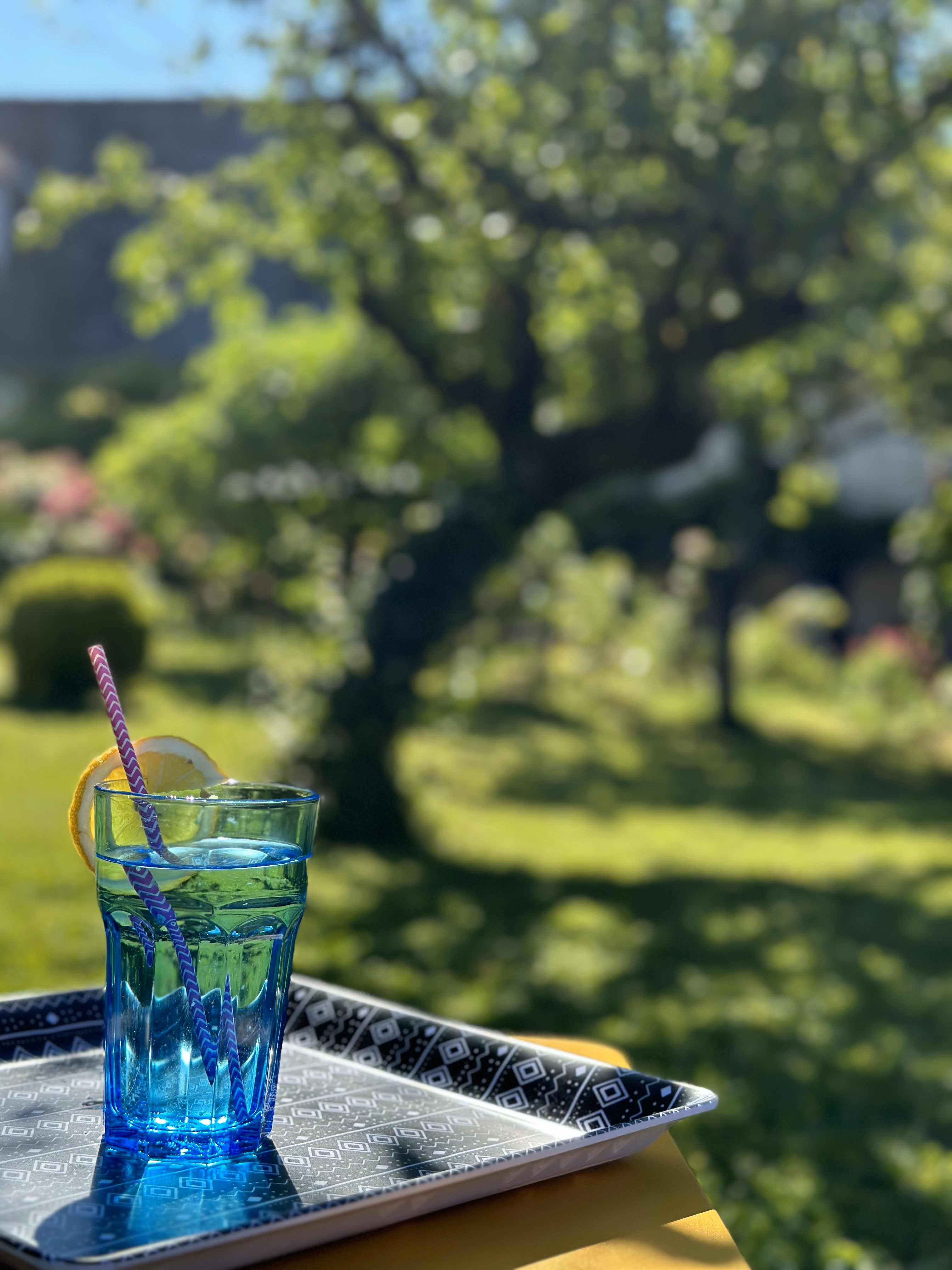 Sous la Glycine, Cressensac-Sarrazac - photo 13