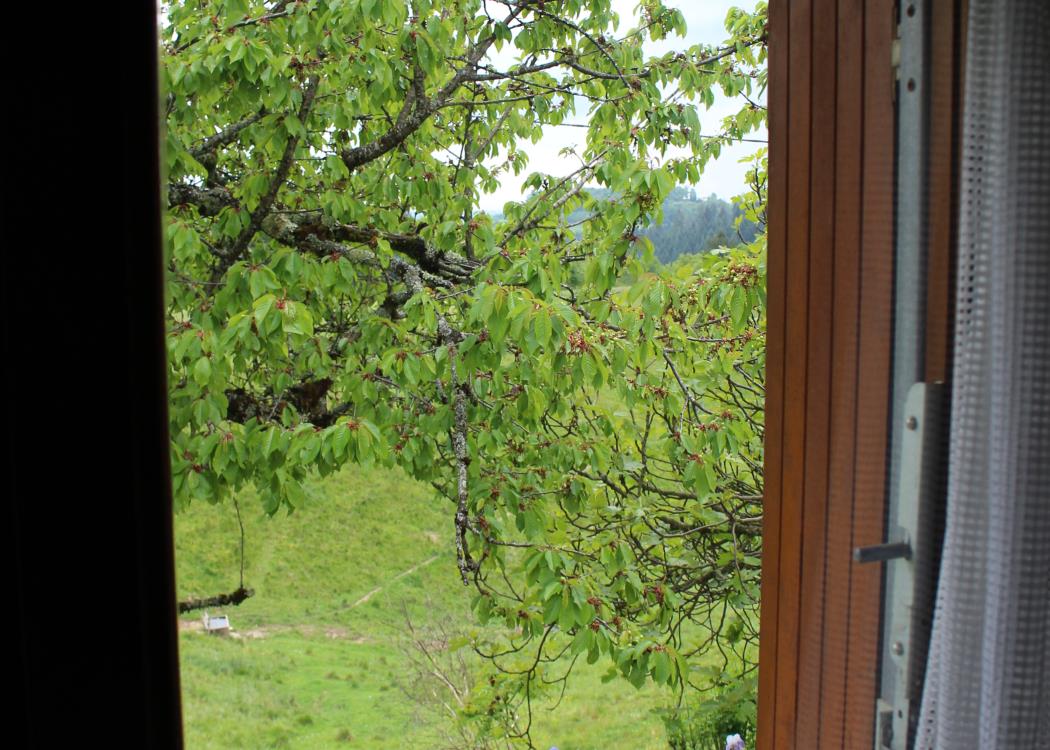 Vue depuis la chambre